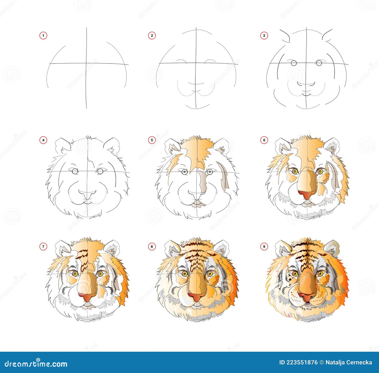 Tiger Tribe Set per Imparare a Disegnare, Animali - Include 2