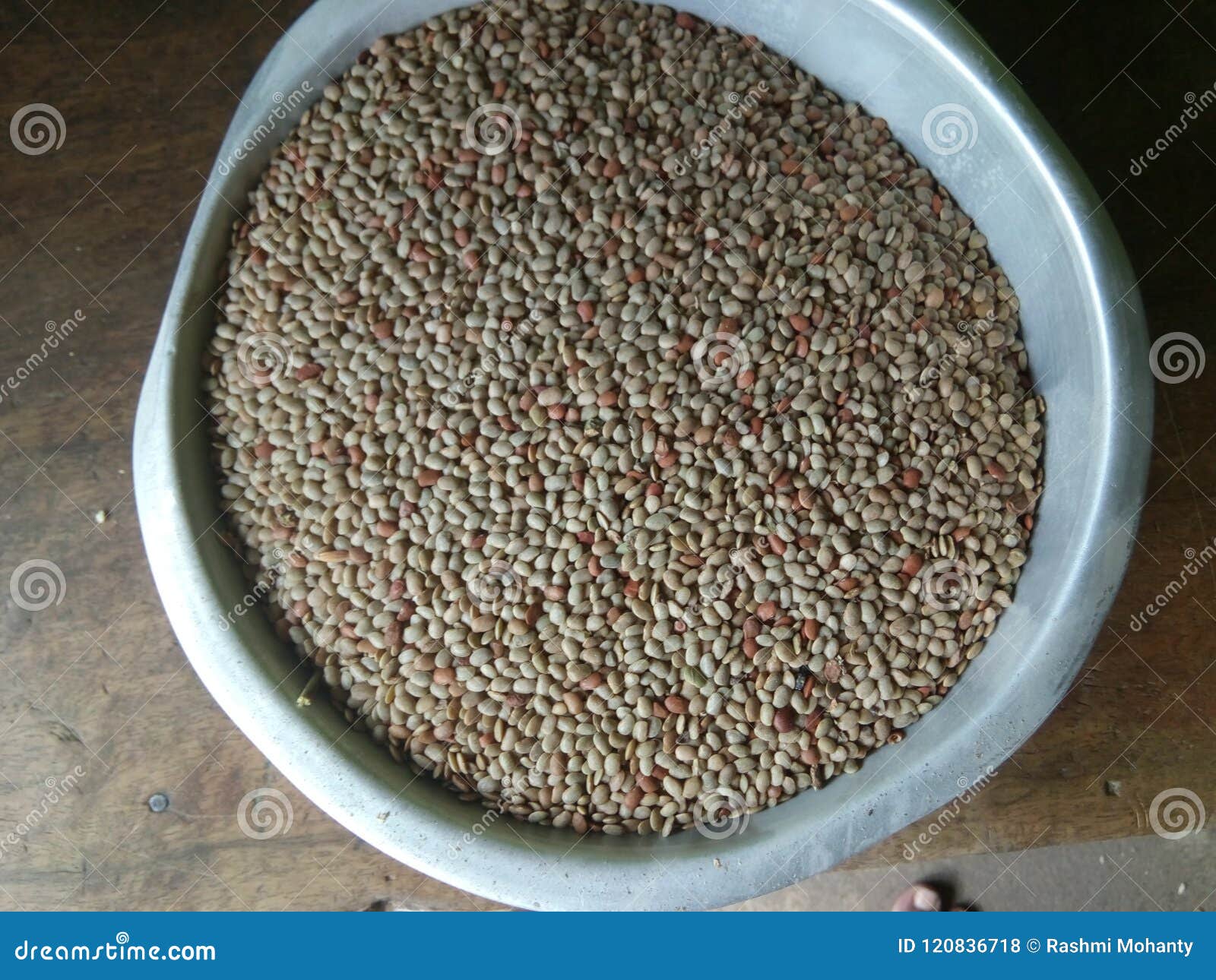 Kolath stock photo. Image of pulses, category, kolath 120836718