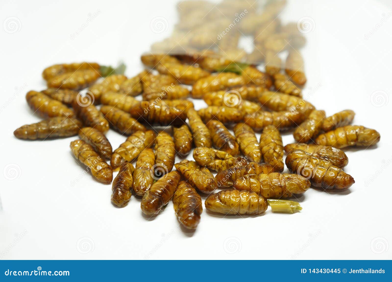 close-up on edibles silkworms