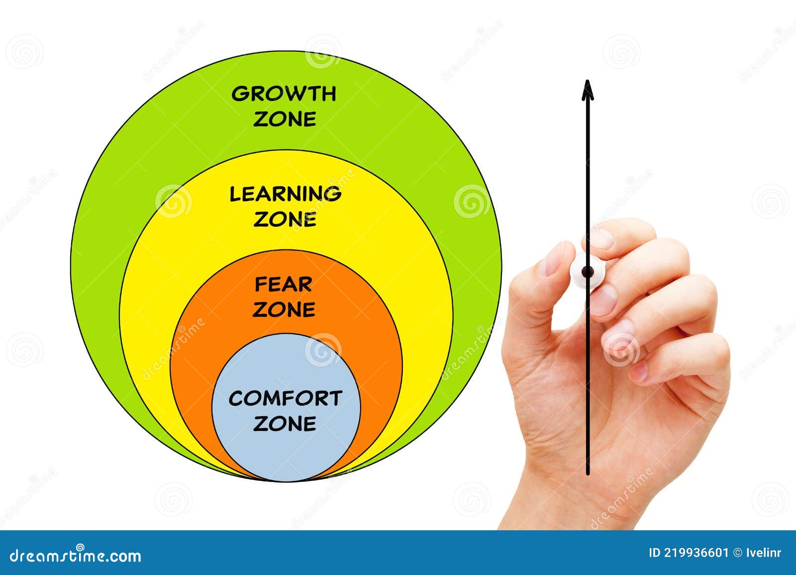 comfort zone diagram success concept