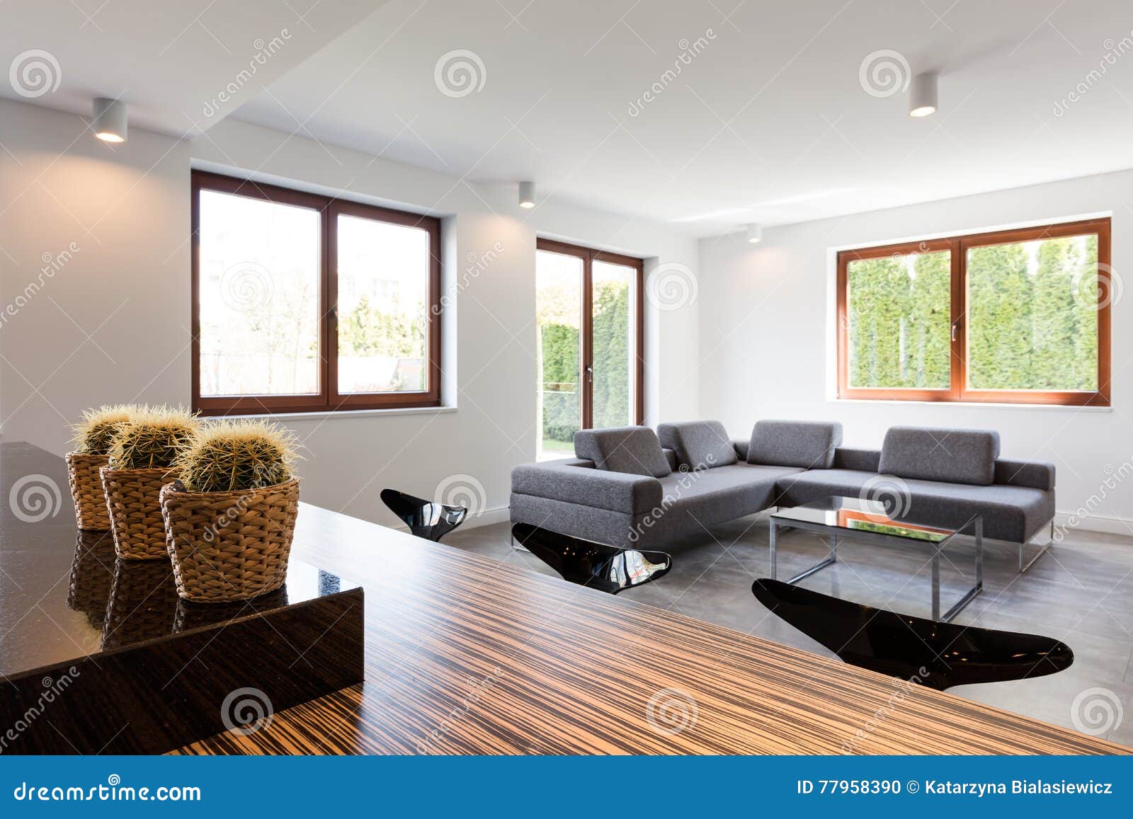 Comfortable Settee in House Stock Photo Image of project, arrangement 77958390