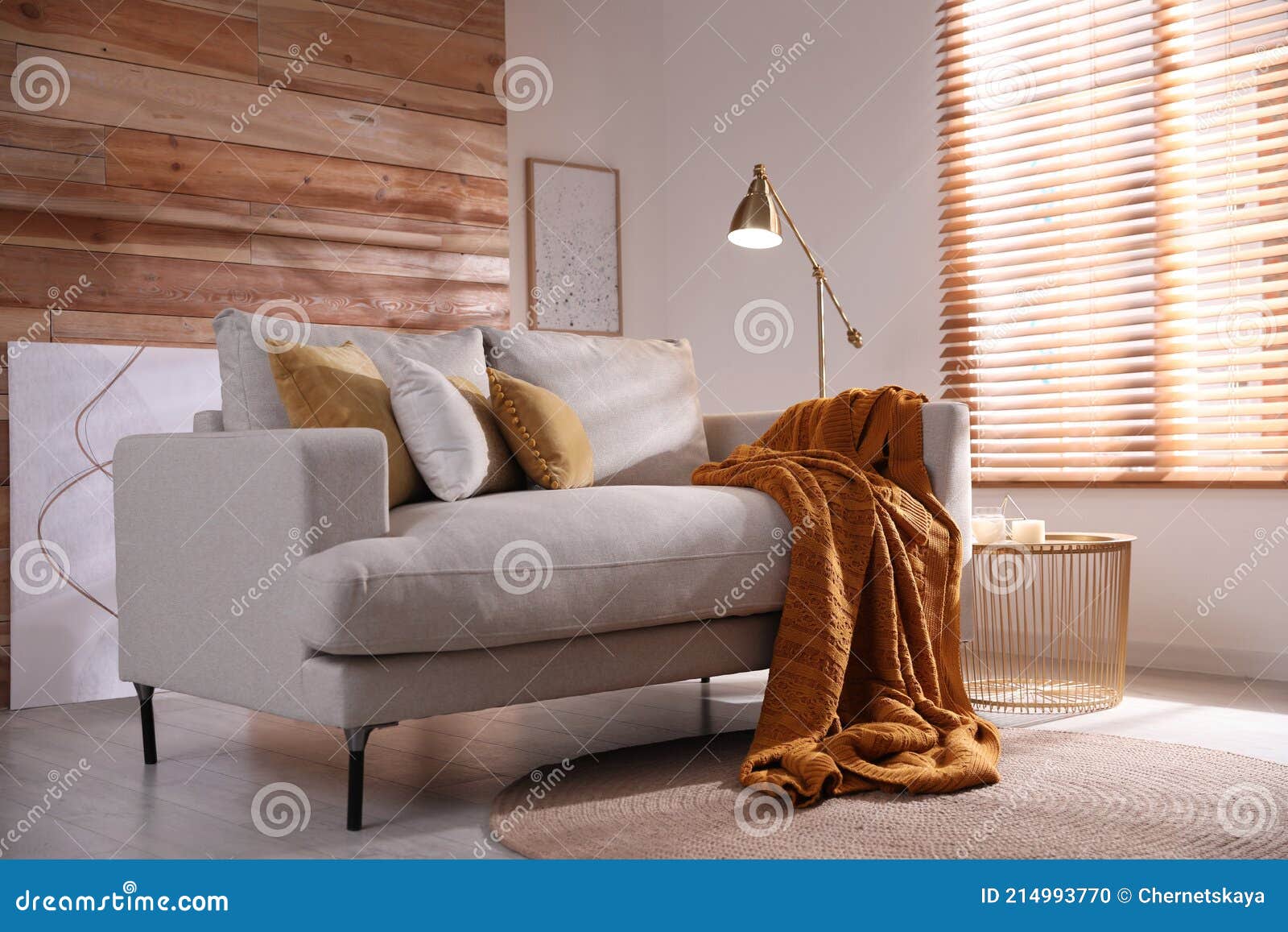 Comfortable Sofa in Modern Living Room. Interior Design Stock Photo
