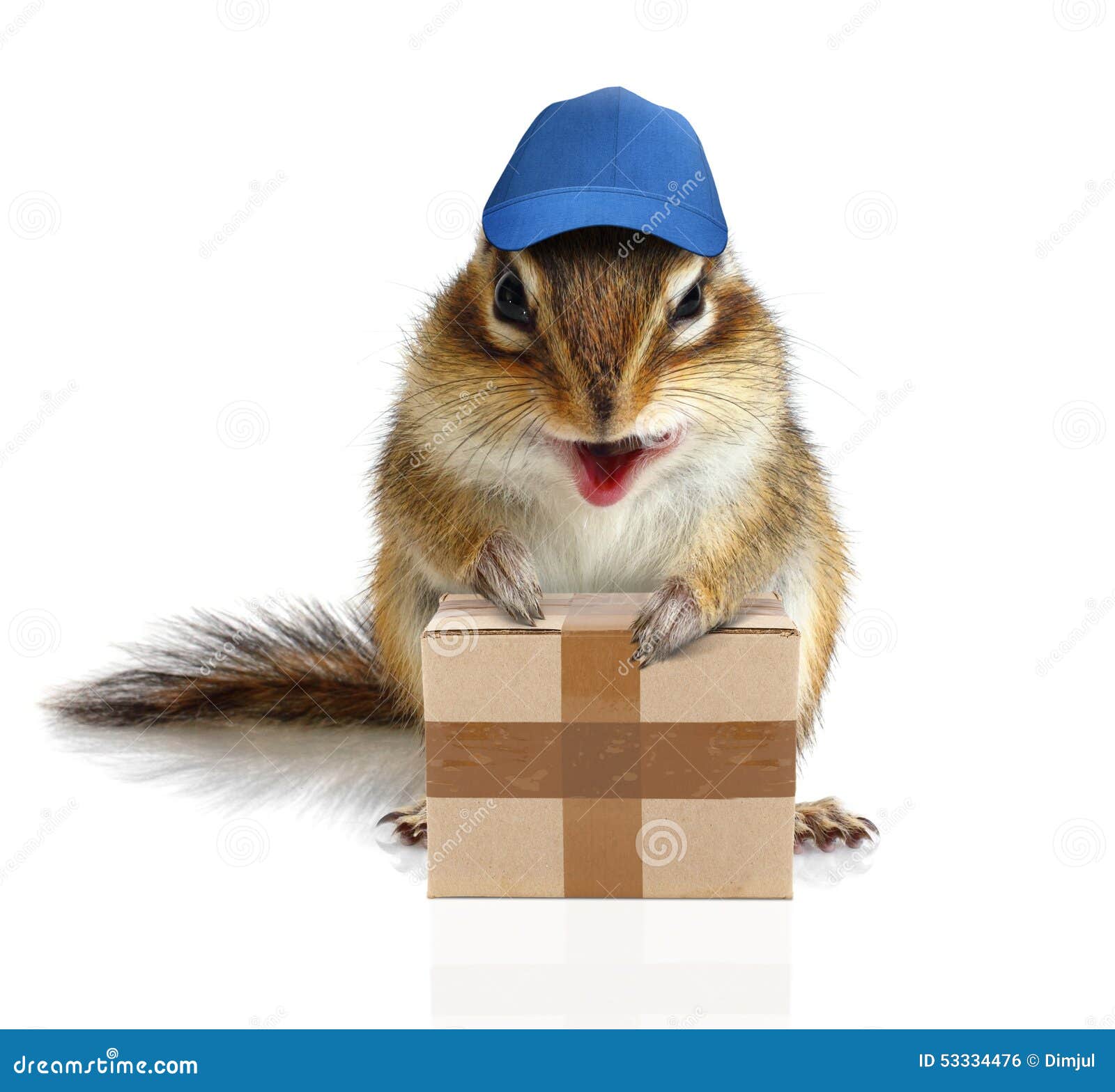 comical chipmunk courier hold parcel