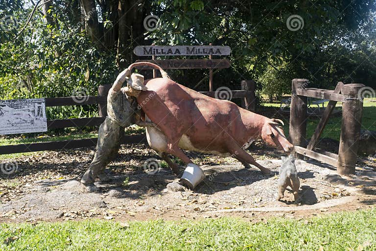 Comical Statue at the Entrance of Millaa Millaa Queensland Australia Comical Statue at the Entrance of Millaa Millaa Queensland Australia