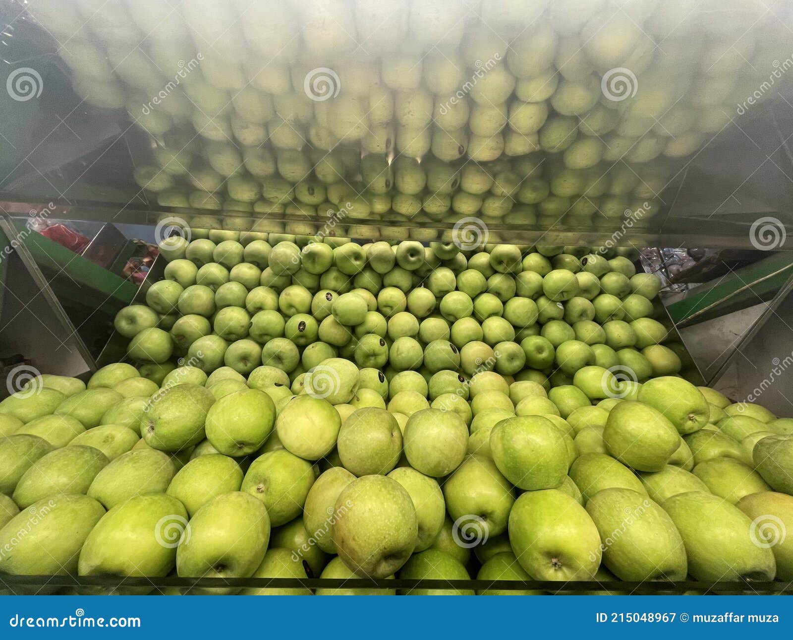 Reflexão Do Jogo No Ovo Quebrado Da Galinha Foto de Stock - Imagem de nave,  comer: 48215270