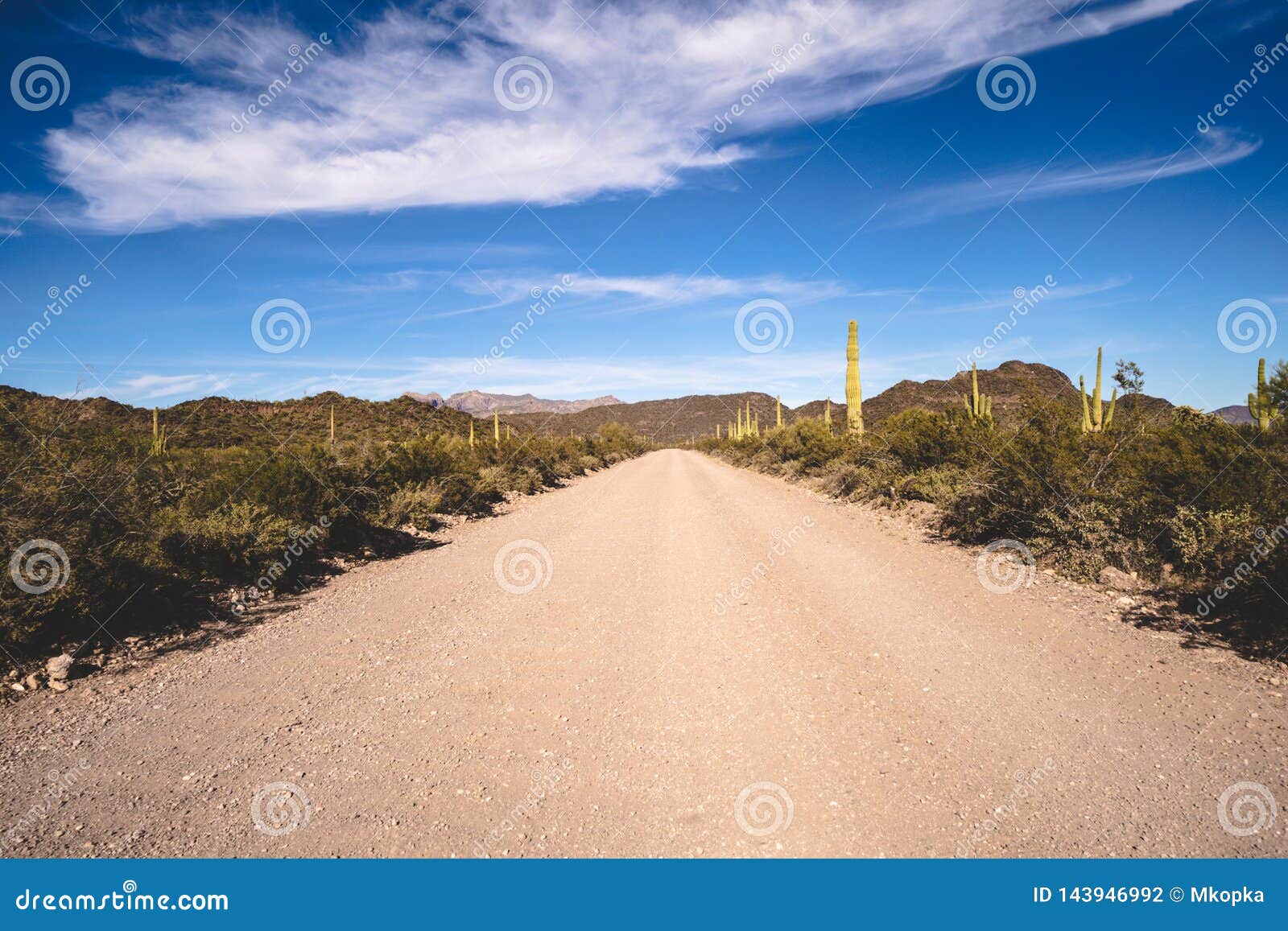 Commande de montagne d'Ajo, une route non pavée par le monument national de cactus de tuyau d'organe en Arizona