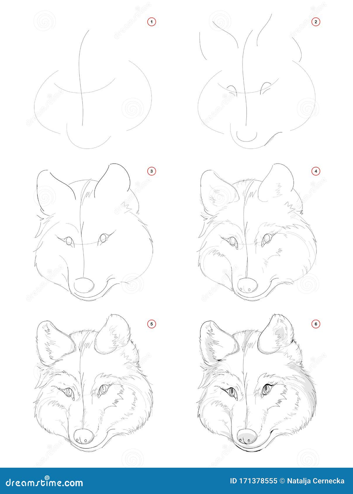 Comment Dessiner Une Tête De Loup Comment Dessiner Le Croquis De La Tête Mignonne Imaginaire De Loup. Dessin Au Crayon Pas à Pas De Création. Éducation Pour Les Art Illustration de Vecteur - Illustration du image, artistes: 171378555