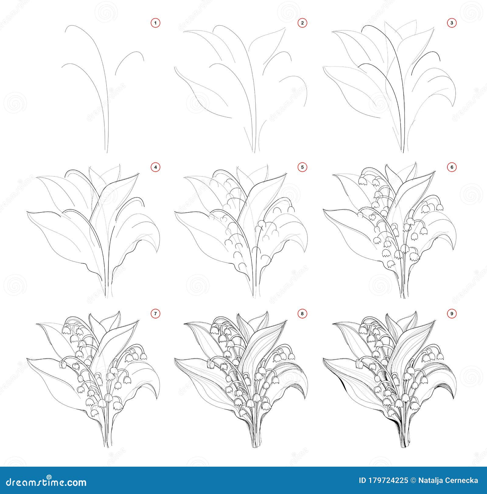 Comment Dessiner Une Fleur De Lys Comment Dessiner Un Beau Bouquet De Lys Des Fleurs De La Vallée. Création étape Par étape Dessin Au Crayon. Page éducative Pour Le Illustration de Vecteur - Illustration du croquis, nature: 179724225
