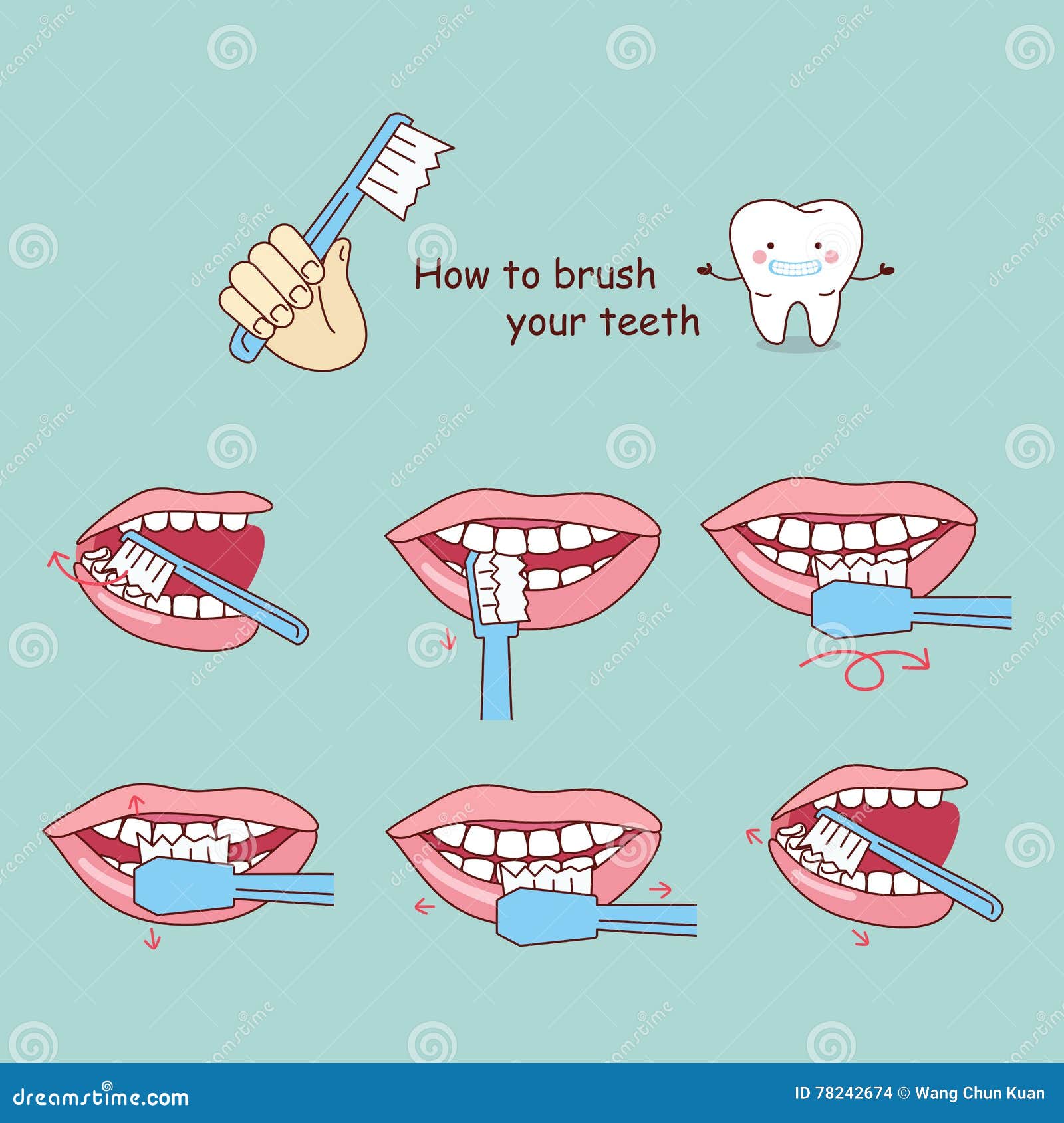 Comment Se Brosser Les Dents Illustration De Vecteur Illustration Du Balai Dentaire Comment Se Brosser Les Dents Illustration De Vecteur Illustration Du Balai Dentaire