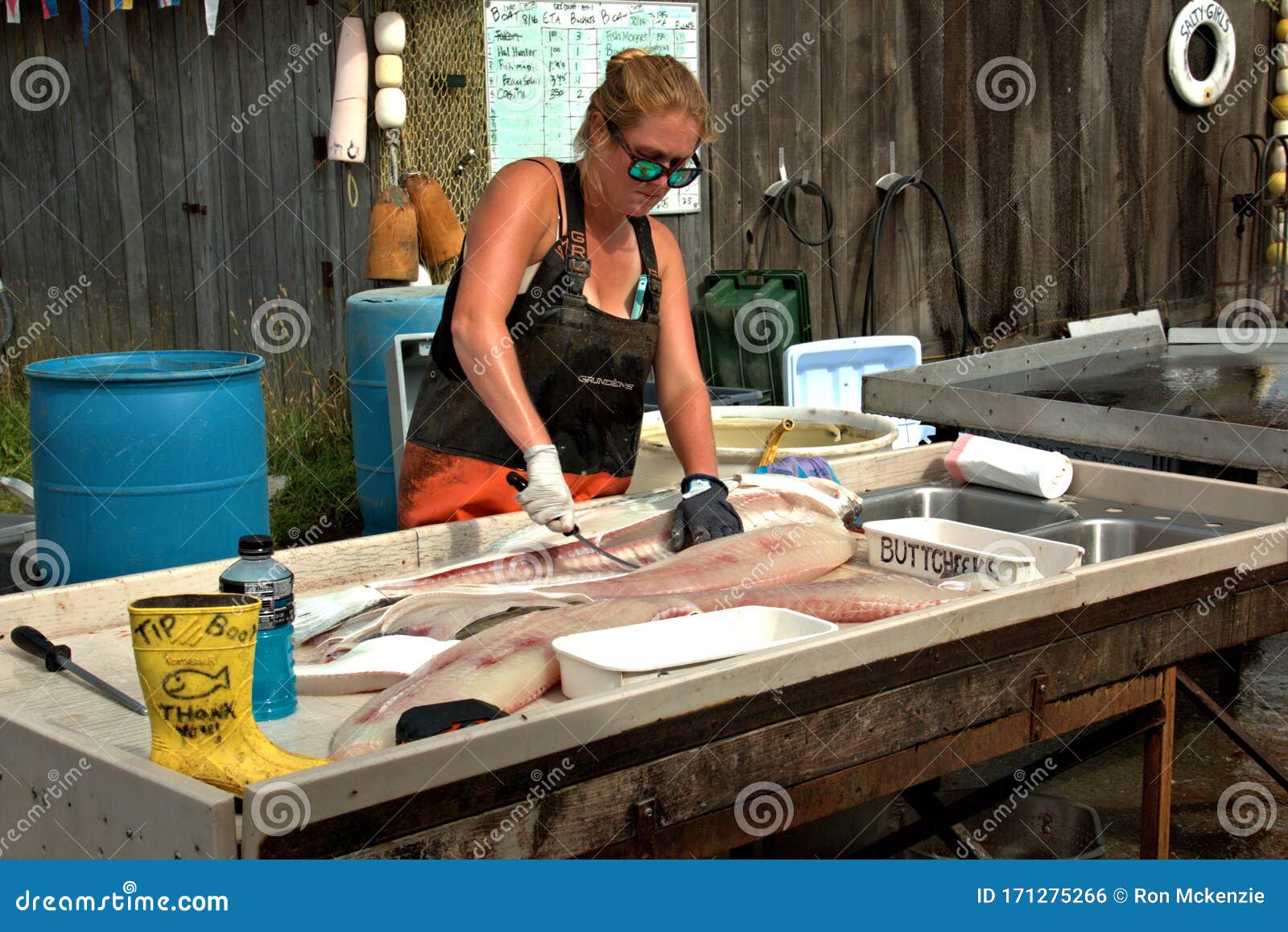 commercial-business-homer-alaska-cleaning-fish-getting-fresh-fish-ready-flash-freezer-commercial-business-171275266.jpg