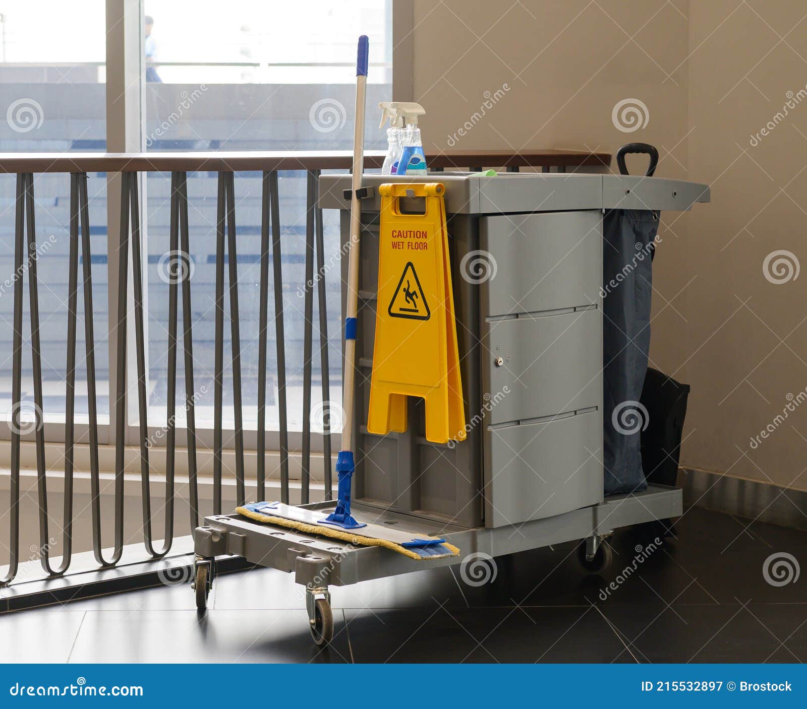 Cleaner Cart in a Public Place. Mobile Cart with Cleaning Products Stock  Image - Image of cleaners, hall: 213255587, Buckets For Cleaning 