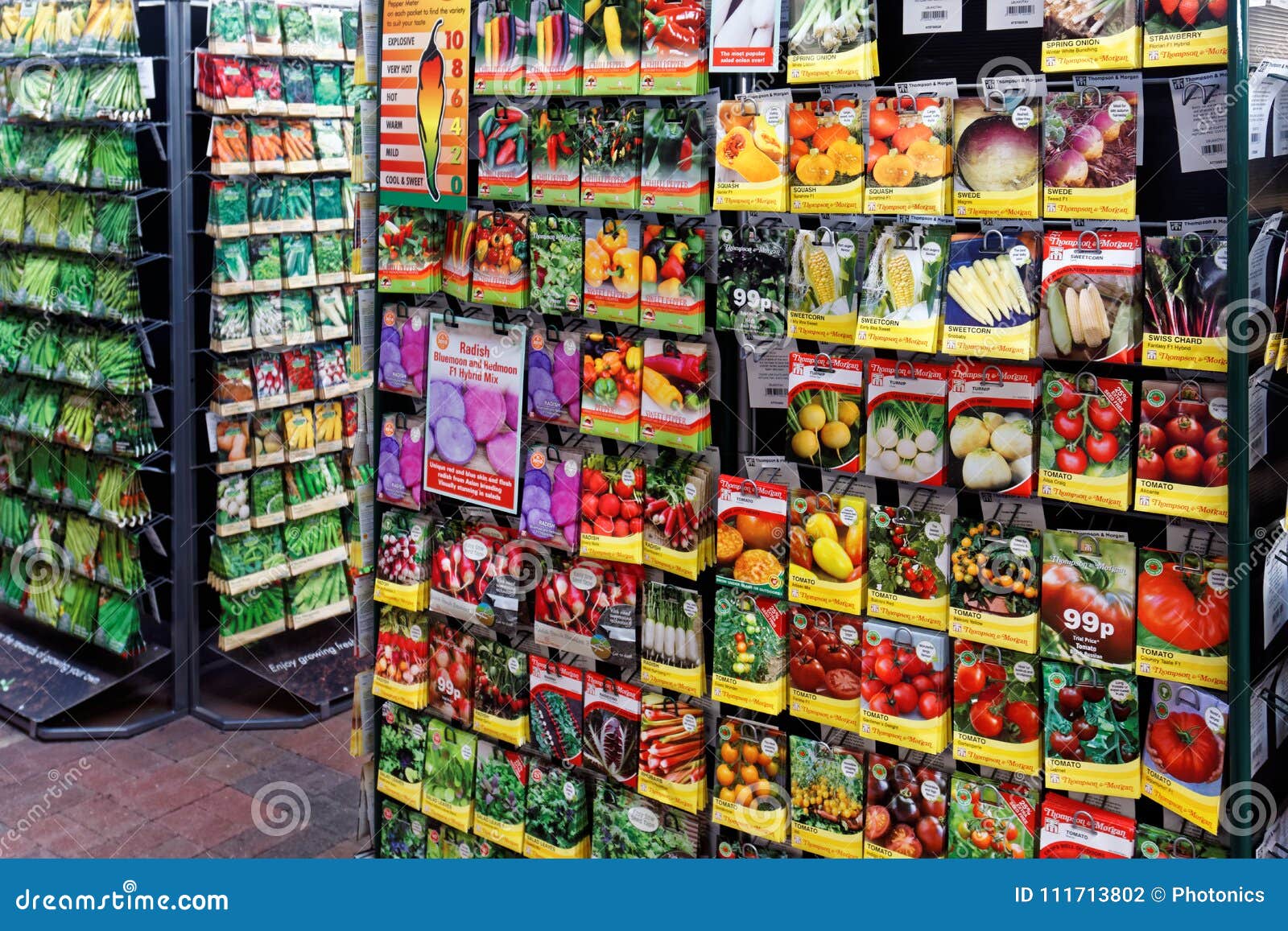 A Commercial Display of Vegetable Seed Packets Editorial Photography