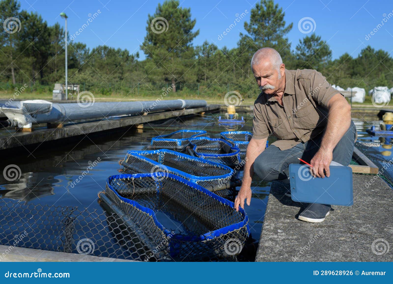 Commercial Fish Farmer Checking Baskets Stock Photo Image of commerce, work 289628926