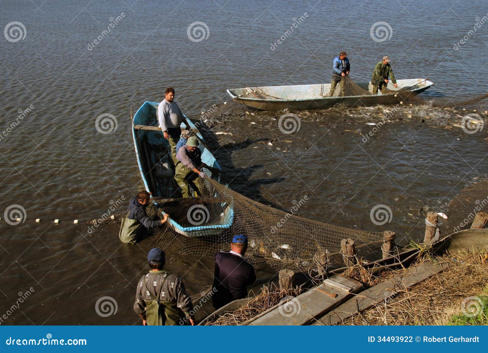 Commercial Fishing - Fishermen Pulling Fishing Net Stock Photo - Image of  fishing, common: 34493922