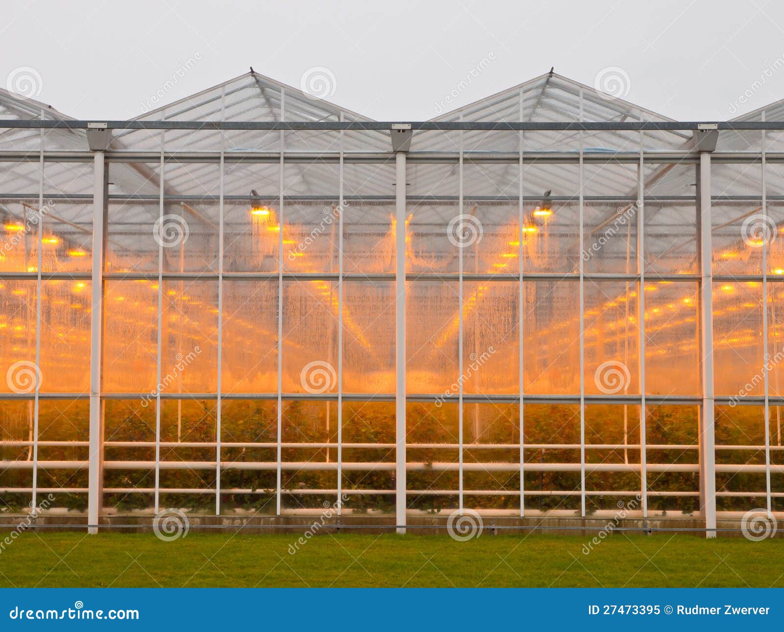 Commercial glasshouse stock image. Image of hothouse 27473395