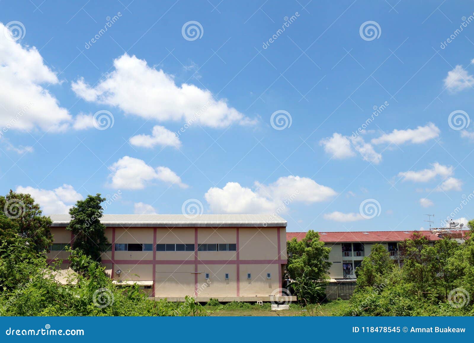 Commercial Old Buildings Estate in the Forest Tree Front Stock Image