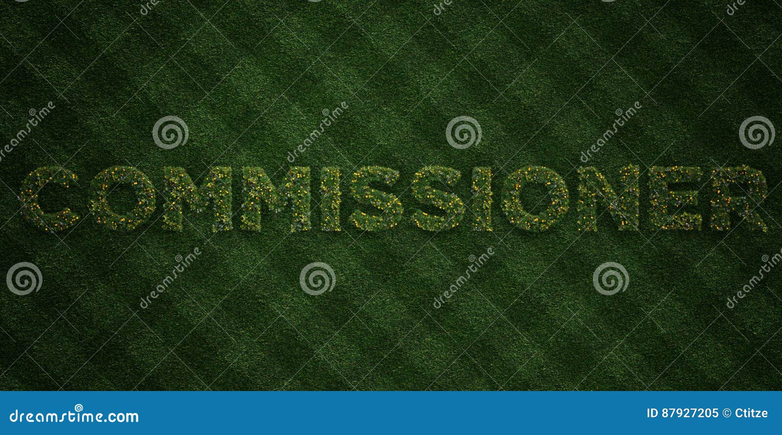 commissioner - fresh grass letters with flowers and dandelions - 3d rendered royalty free stock image