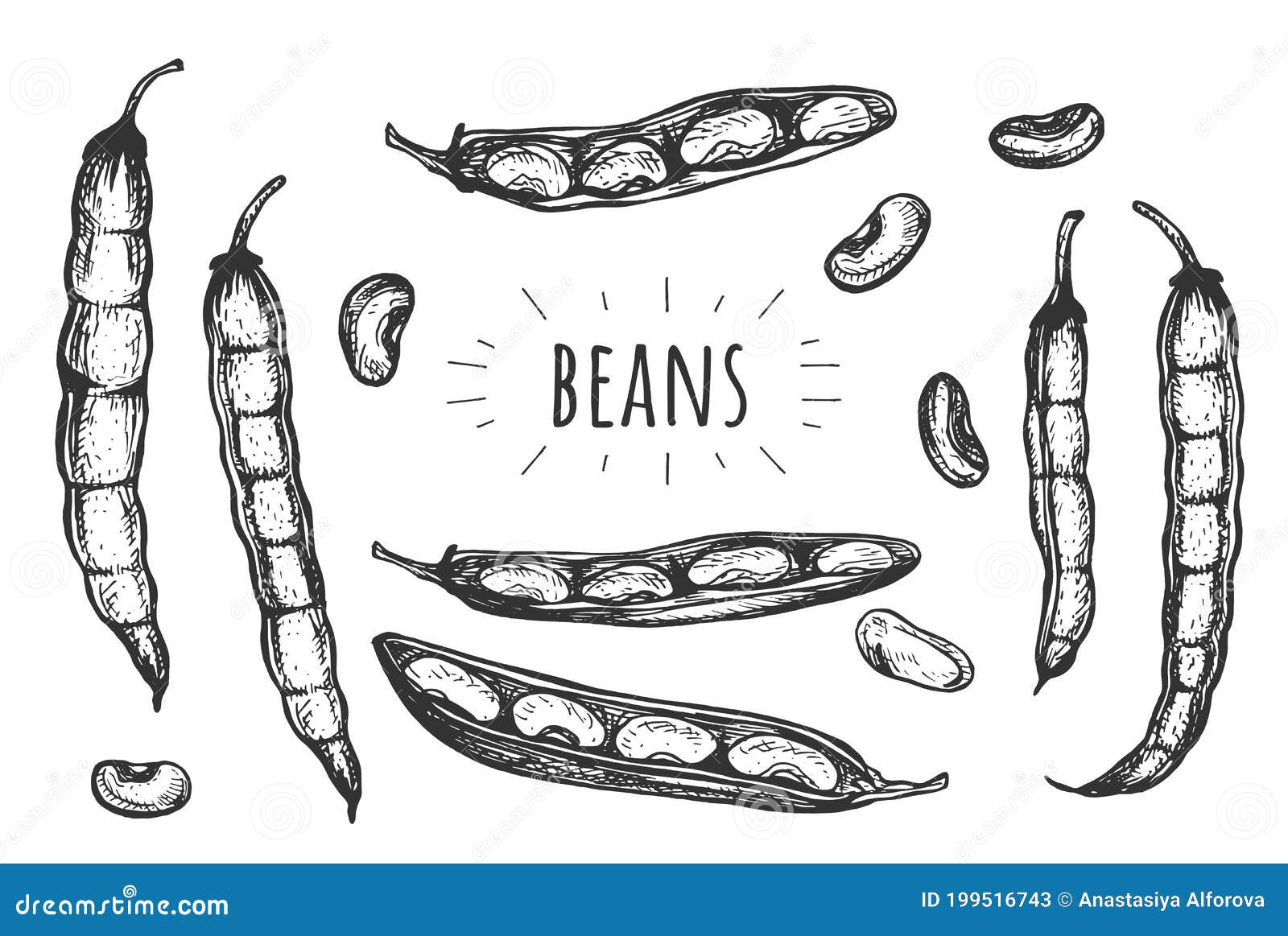 Jelly Bean Drawing Images – Browse 6,081 Stock Photos, Vectors, and Video |  Adobe Stock