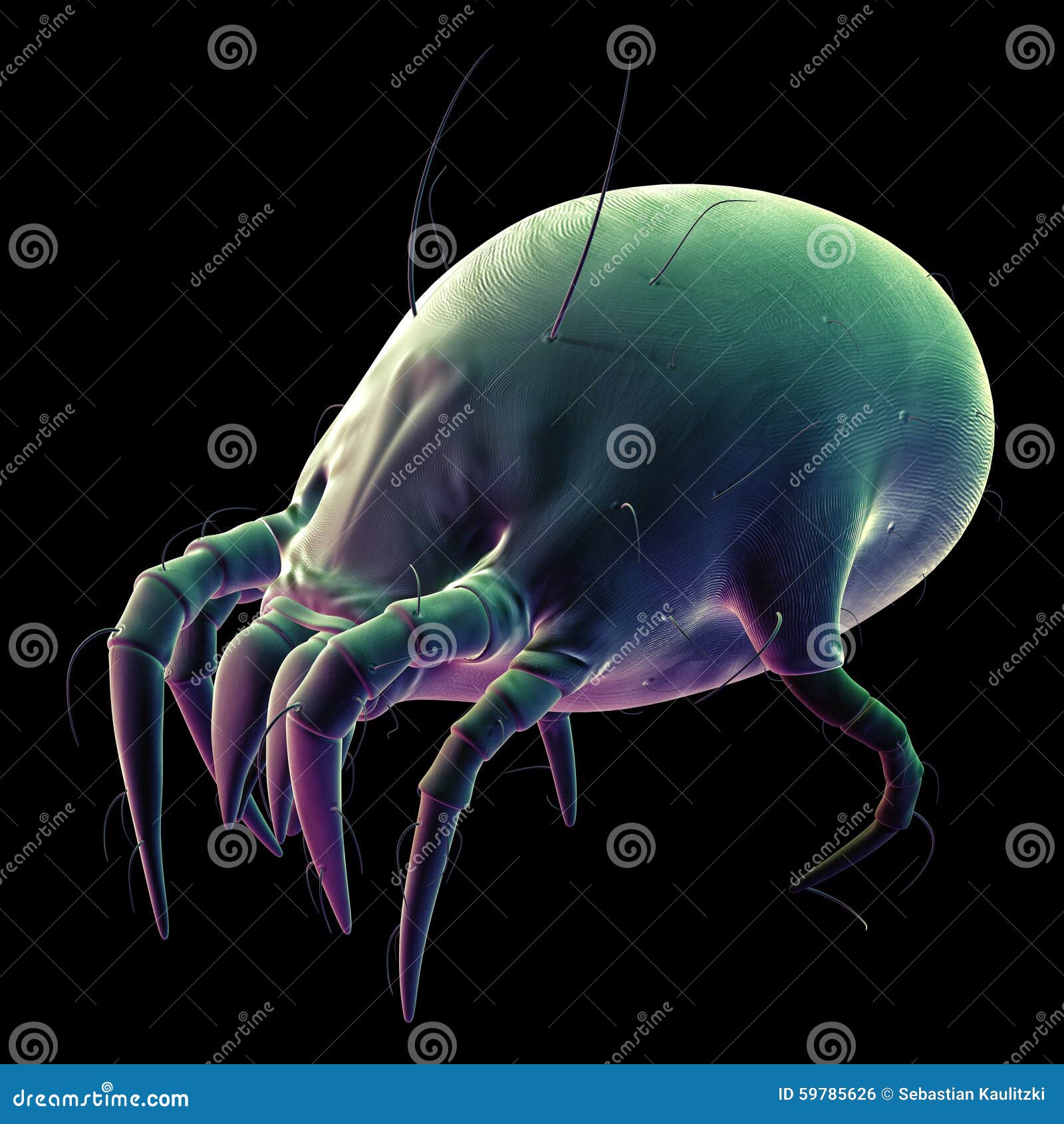 A Common Dust Mite RoyaltyFree Cartoon 57843317