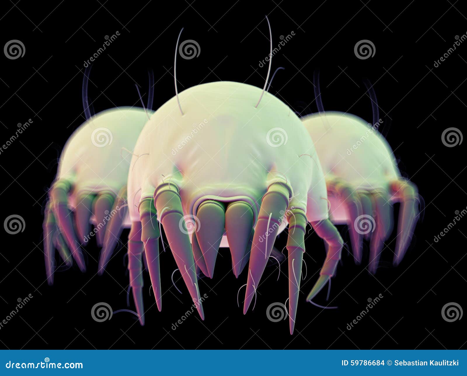 Common dust mites stock illustration. Illustration of medically 59786684
