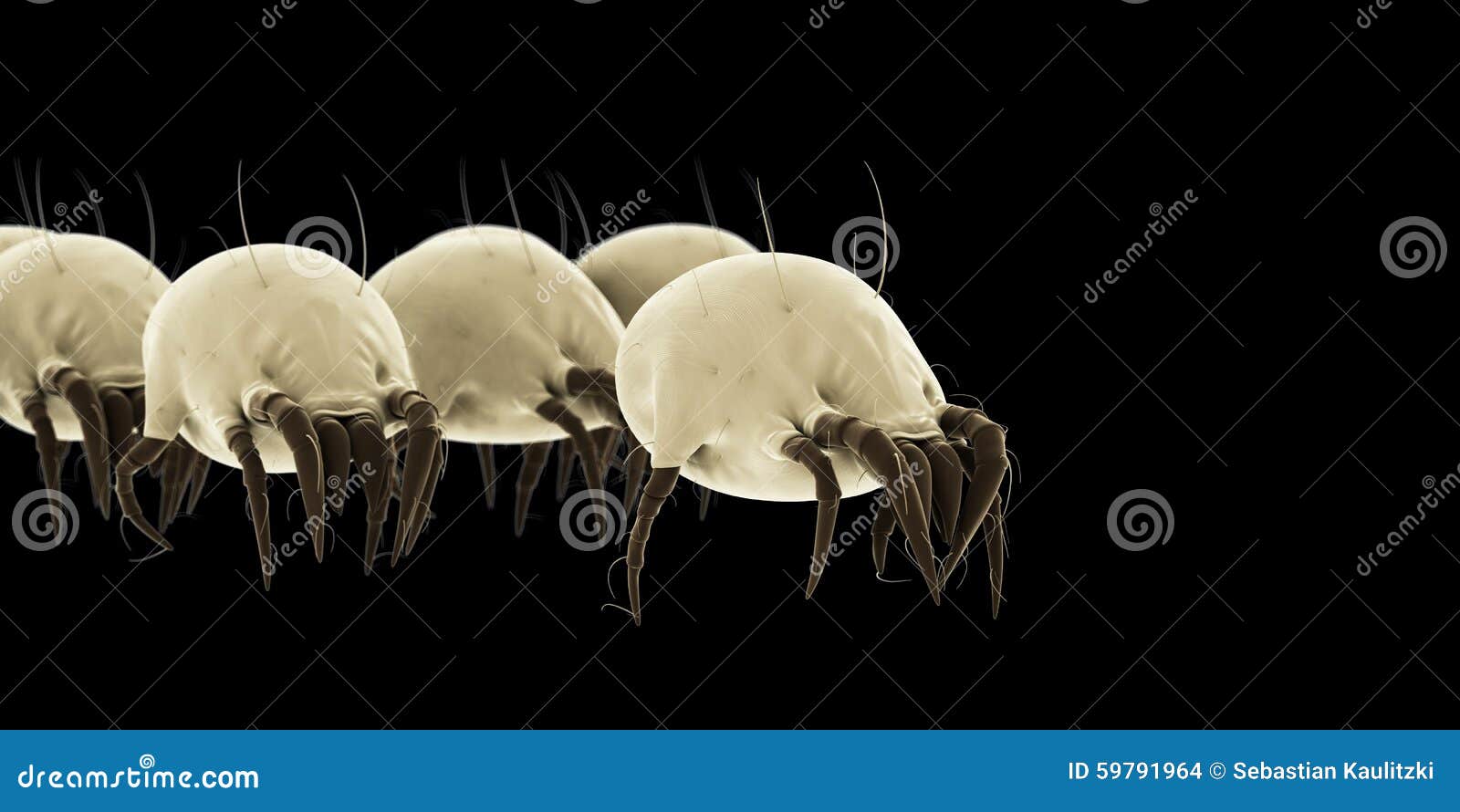 Common Dust Mites RoyaltyFree Cartoon 59791964