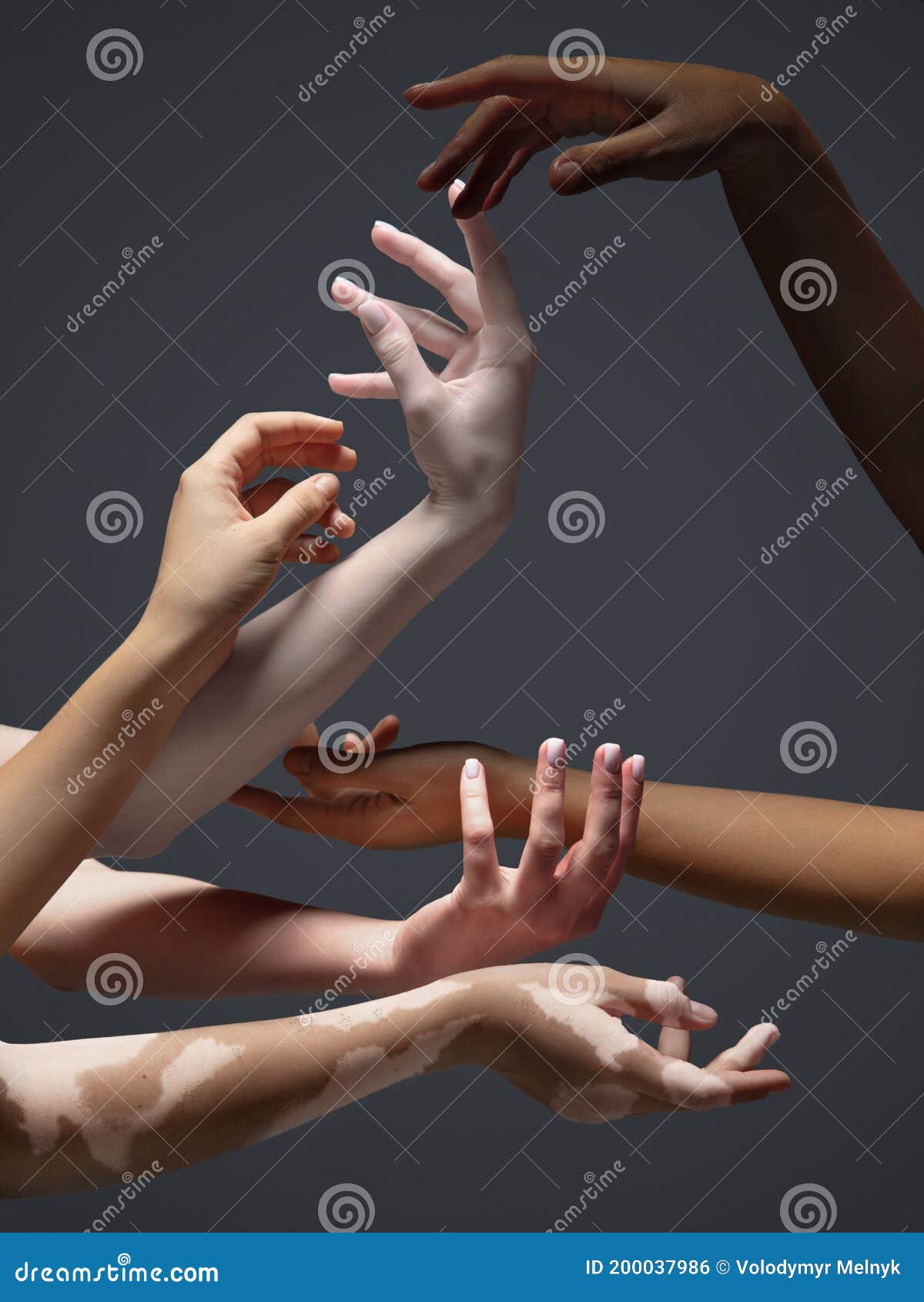 Hands of Different People in Touch Isolated on Grey Studio Background ...