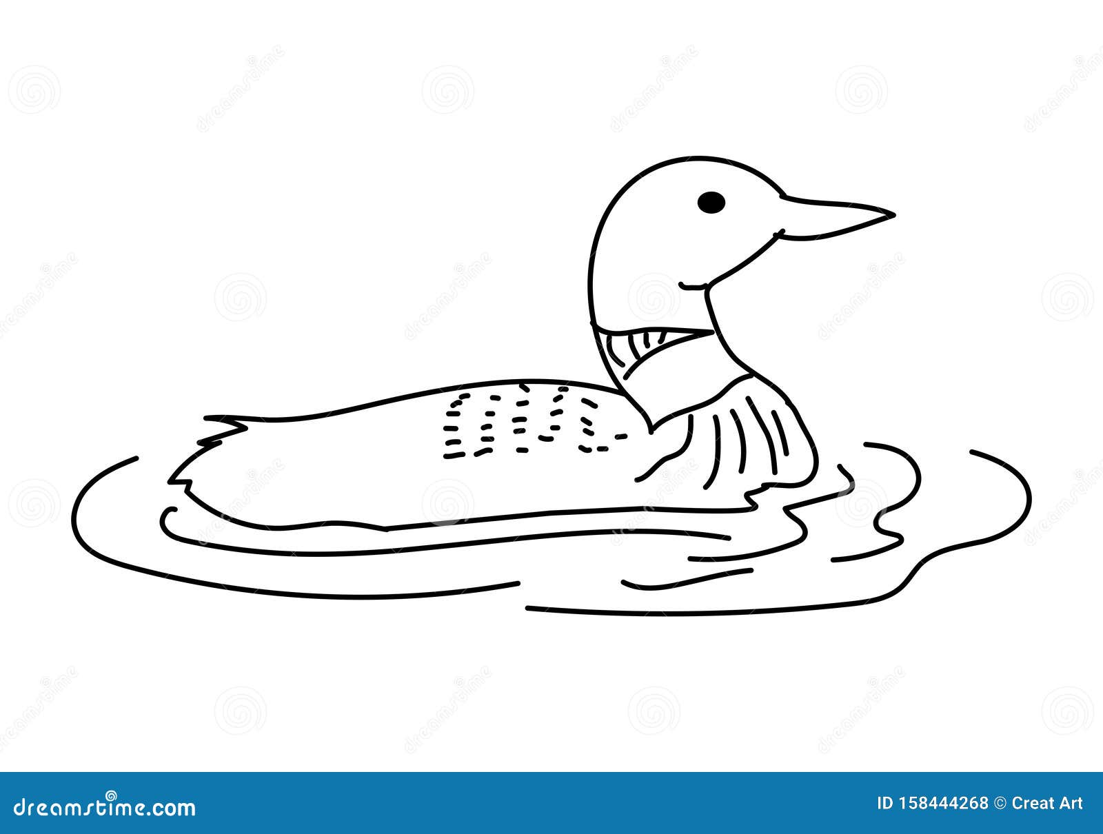 Common loon bird vector illustration stock vector illustration of