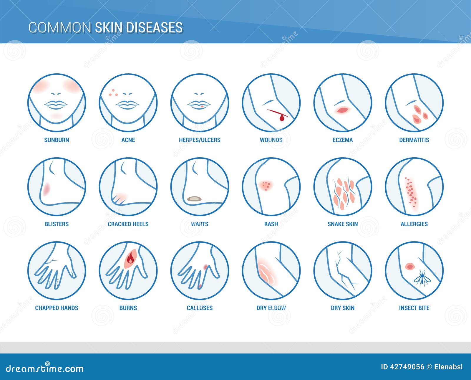 Size Chart Women Images – Browse 1,322 Stock Photos, Vectors, and