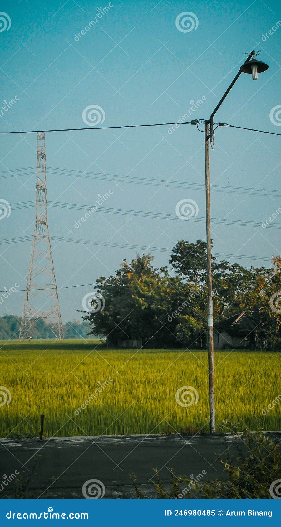 Royalty Free Images, Cartoons, Illustrations And Photos Designed By