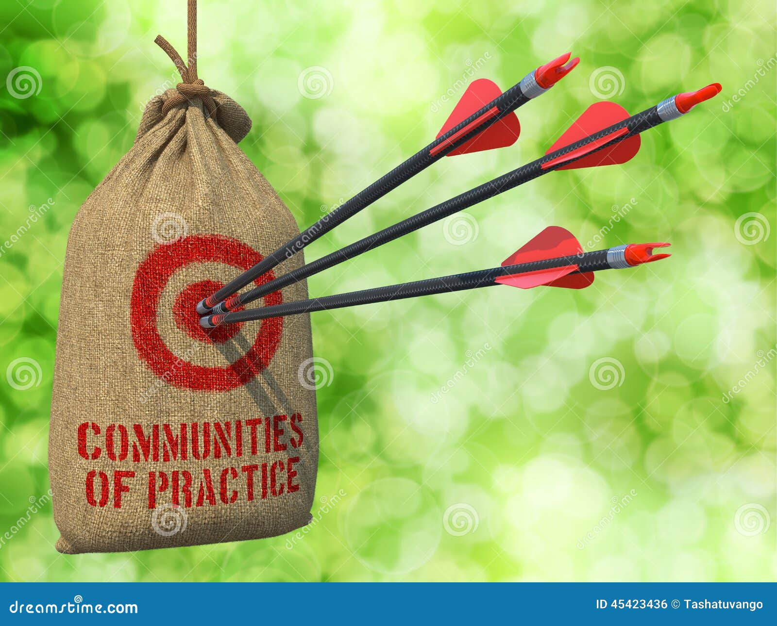communities of practice - arrows hit in red target