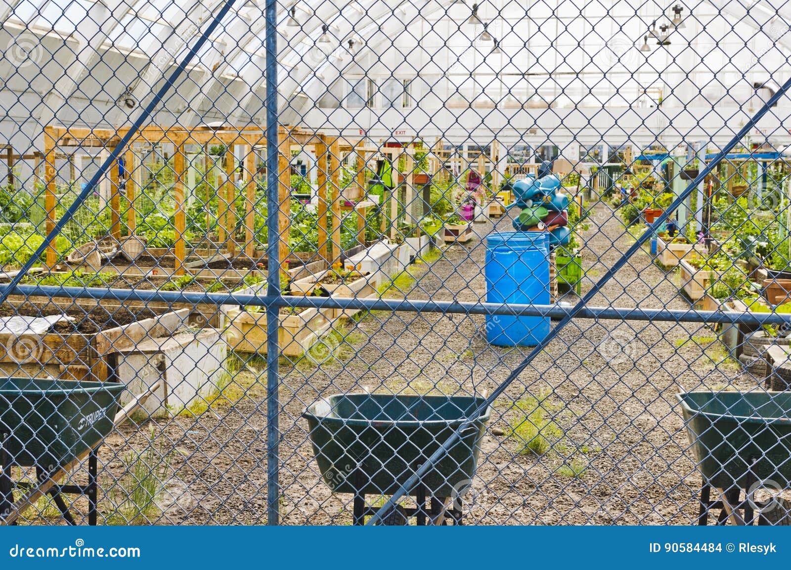 Community garden in Inuvik editorial stock image. Image of 