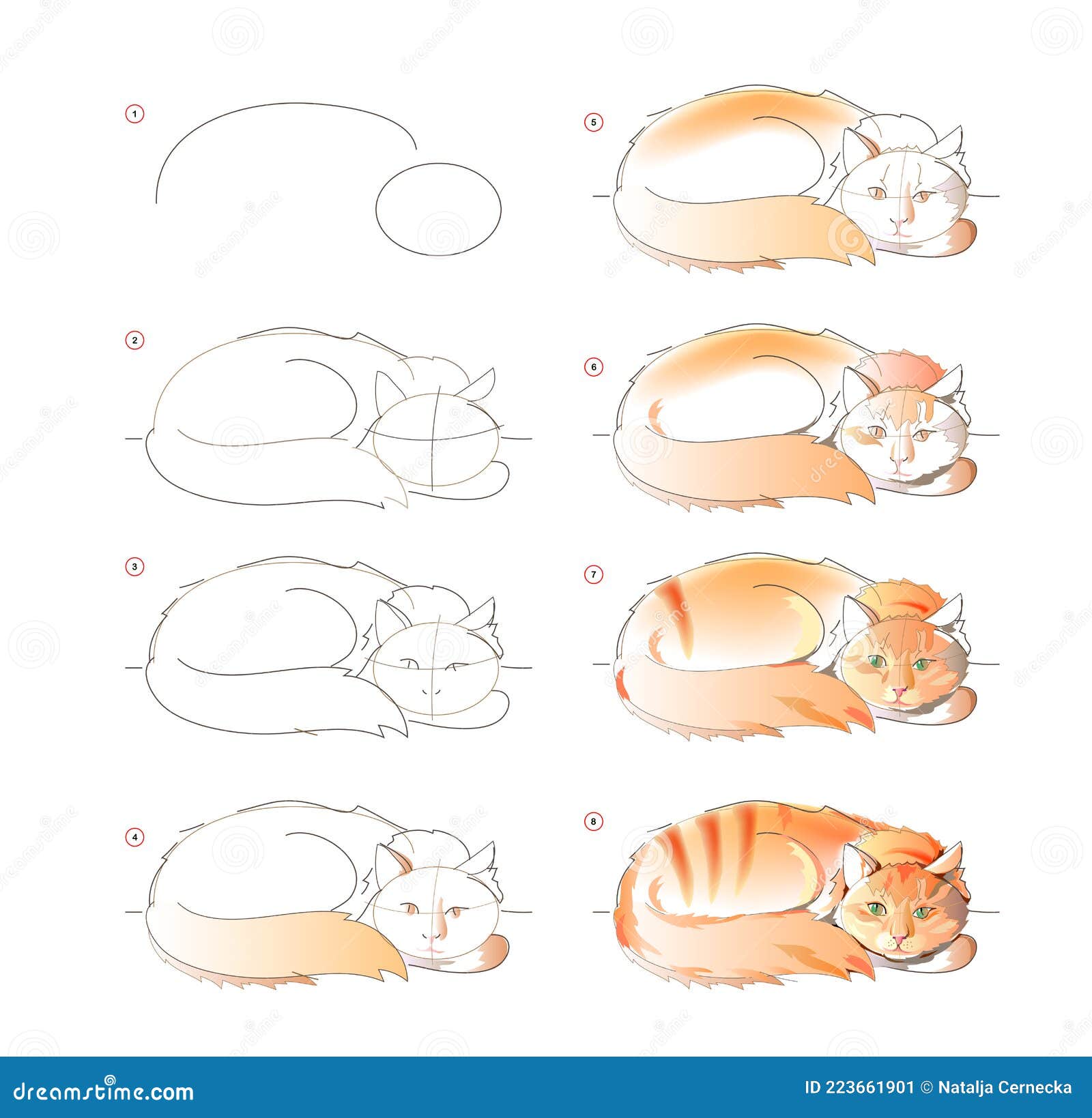 Como desenhar um gato de desenho animado