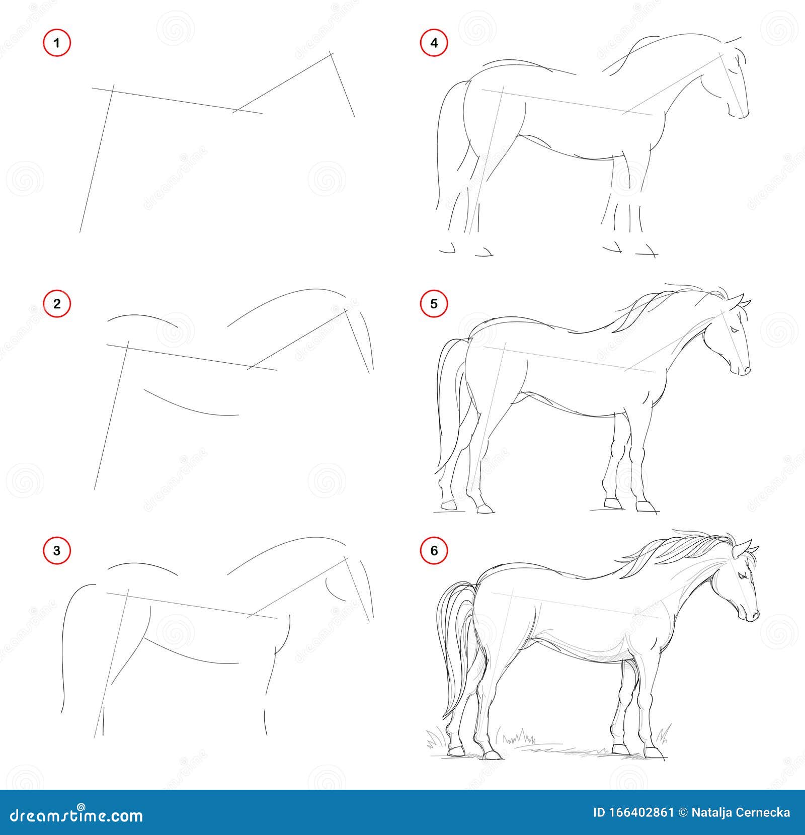 Desenhos de Cavalo - Como desenhar Cavalo passo a passo