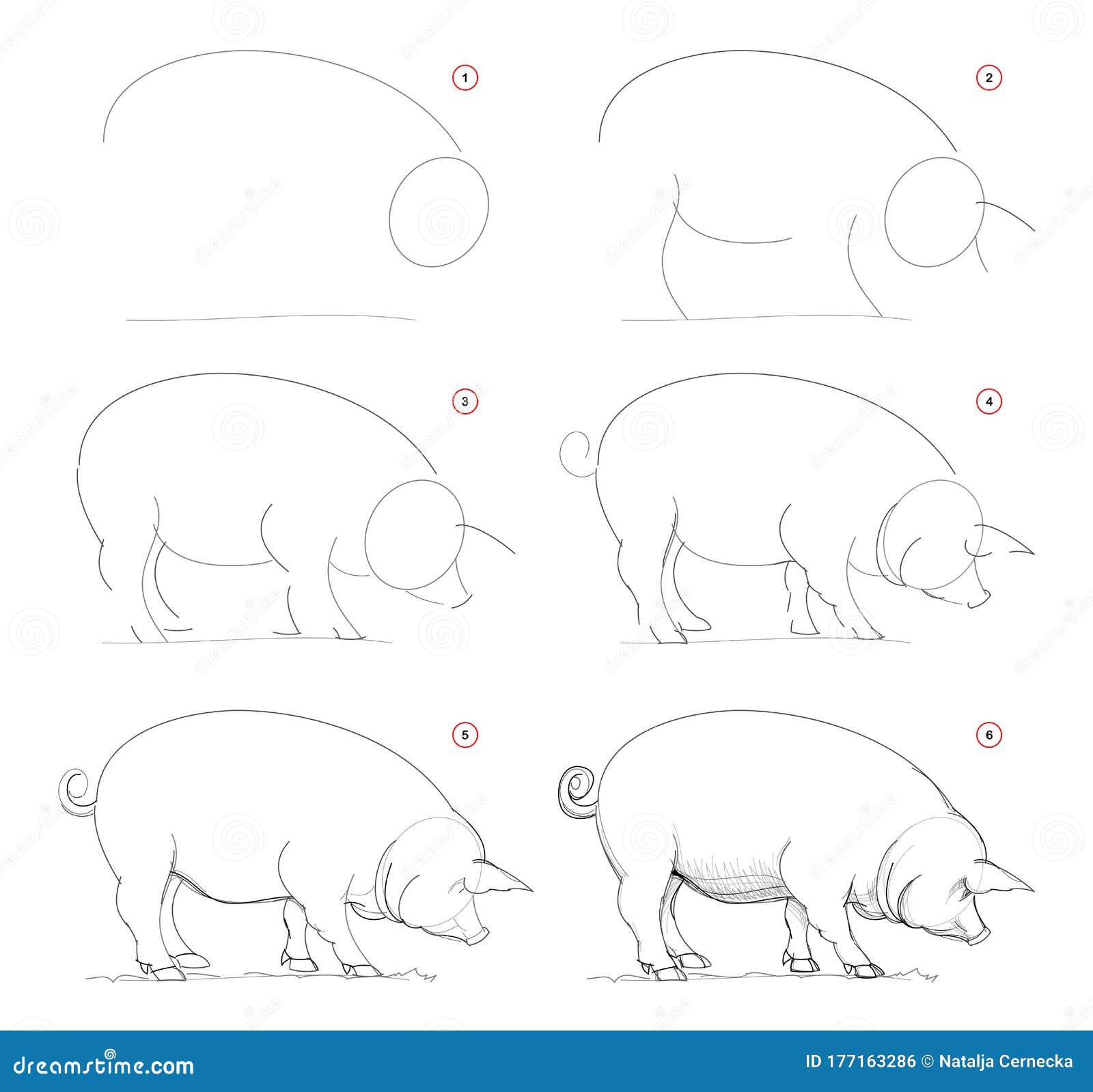 COMO DESENHAR um PORCO 🐷