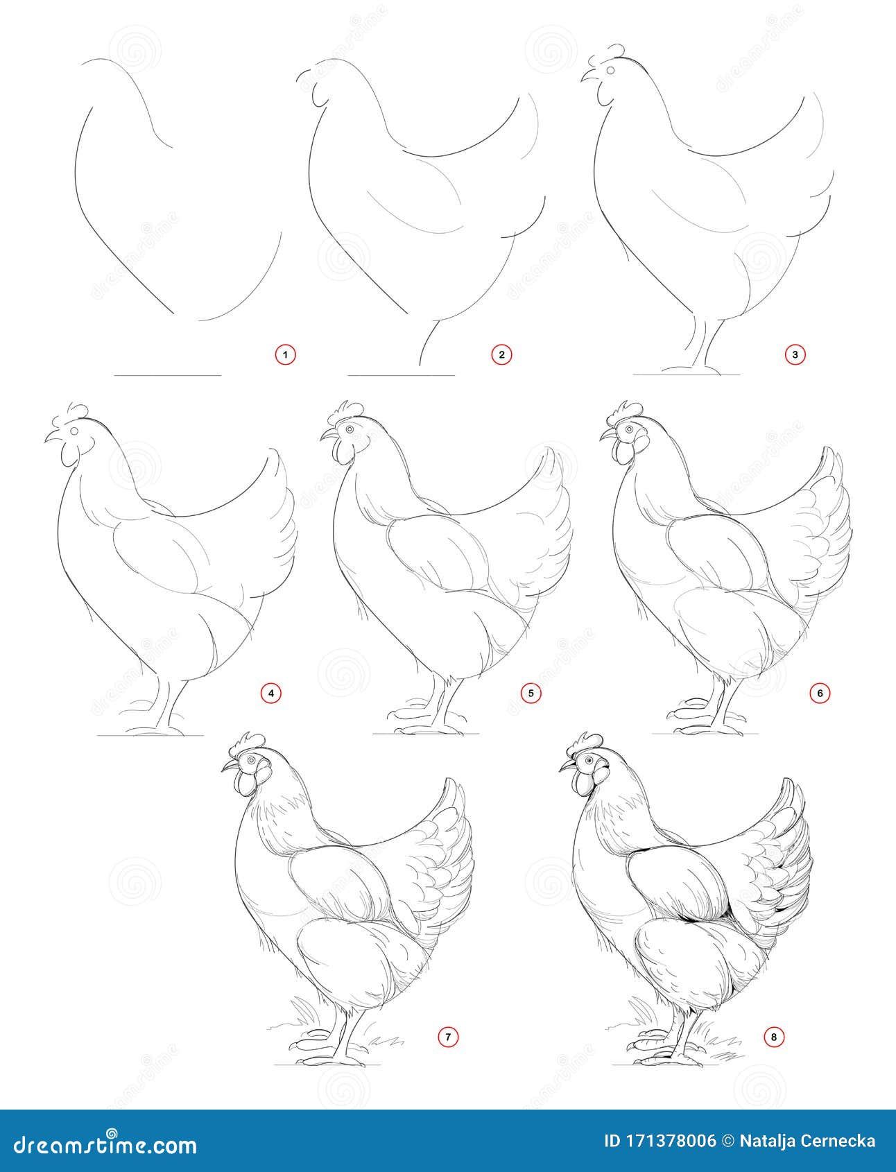 Como desenhar uma galinha FACIL passo a passo para crianças e