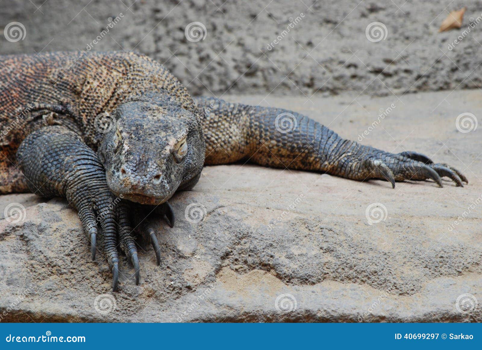 comodo dragon