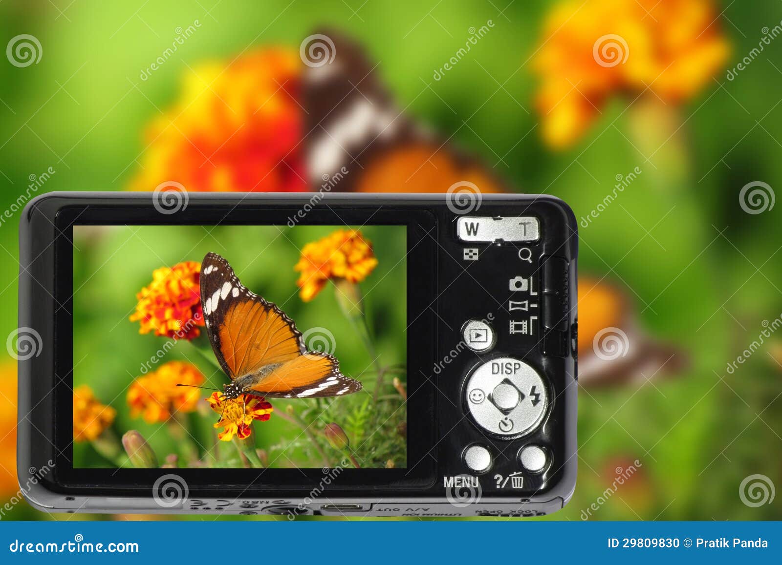 Compact digital camera stock photo. Image of consumer - 29809830