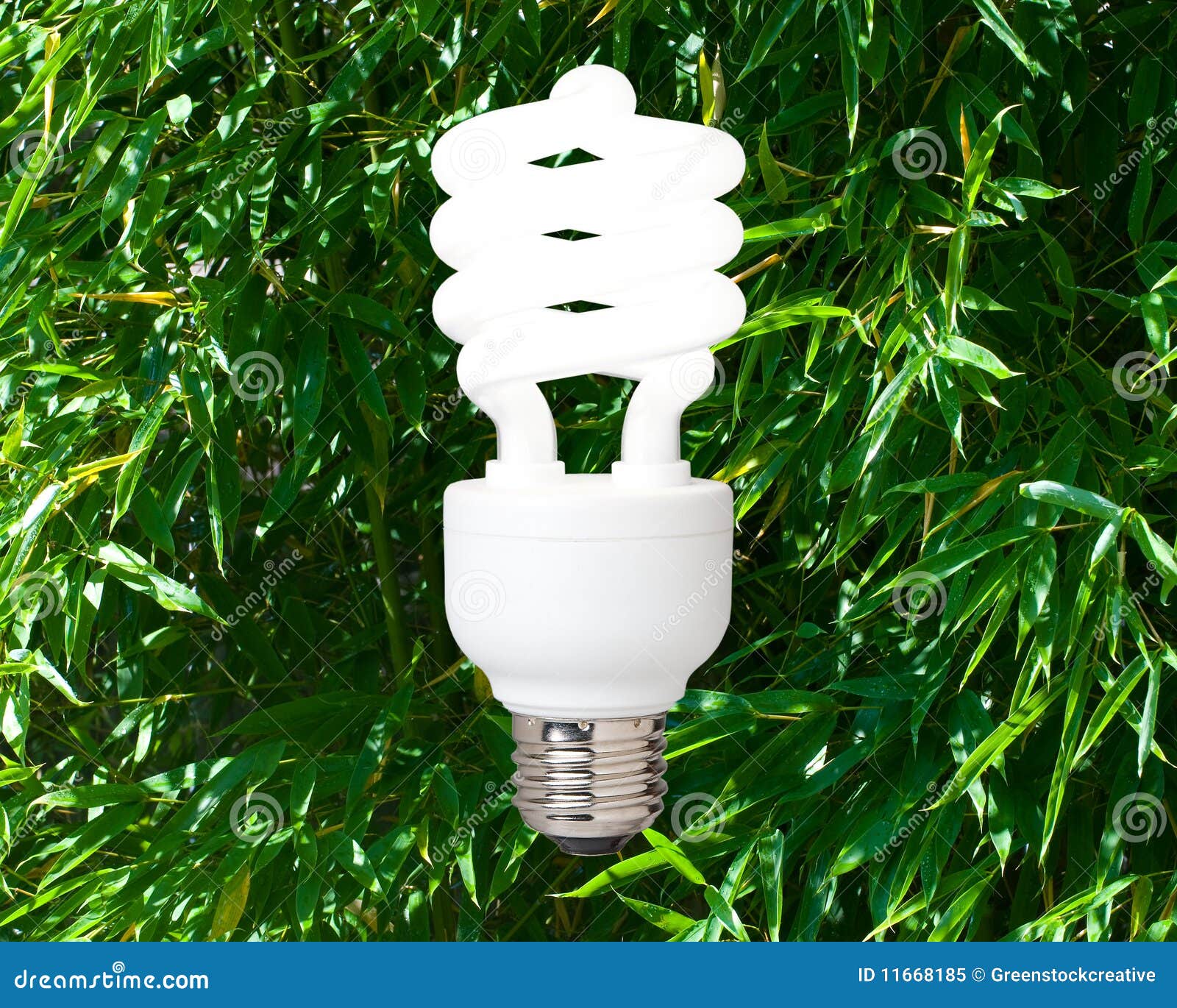 Compact Fluorescent Light Bulb Stock Image Image of global