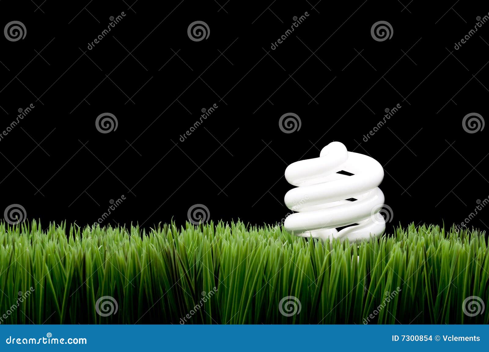 Compact Fluorescent Light Bulb on Grass Stock Photo Image of white