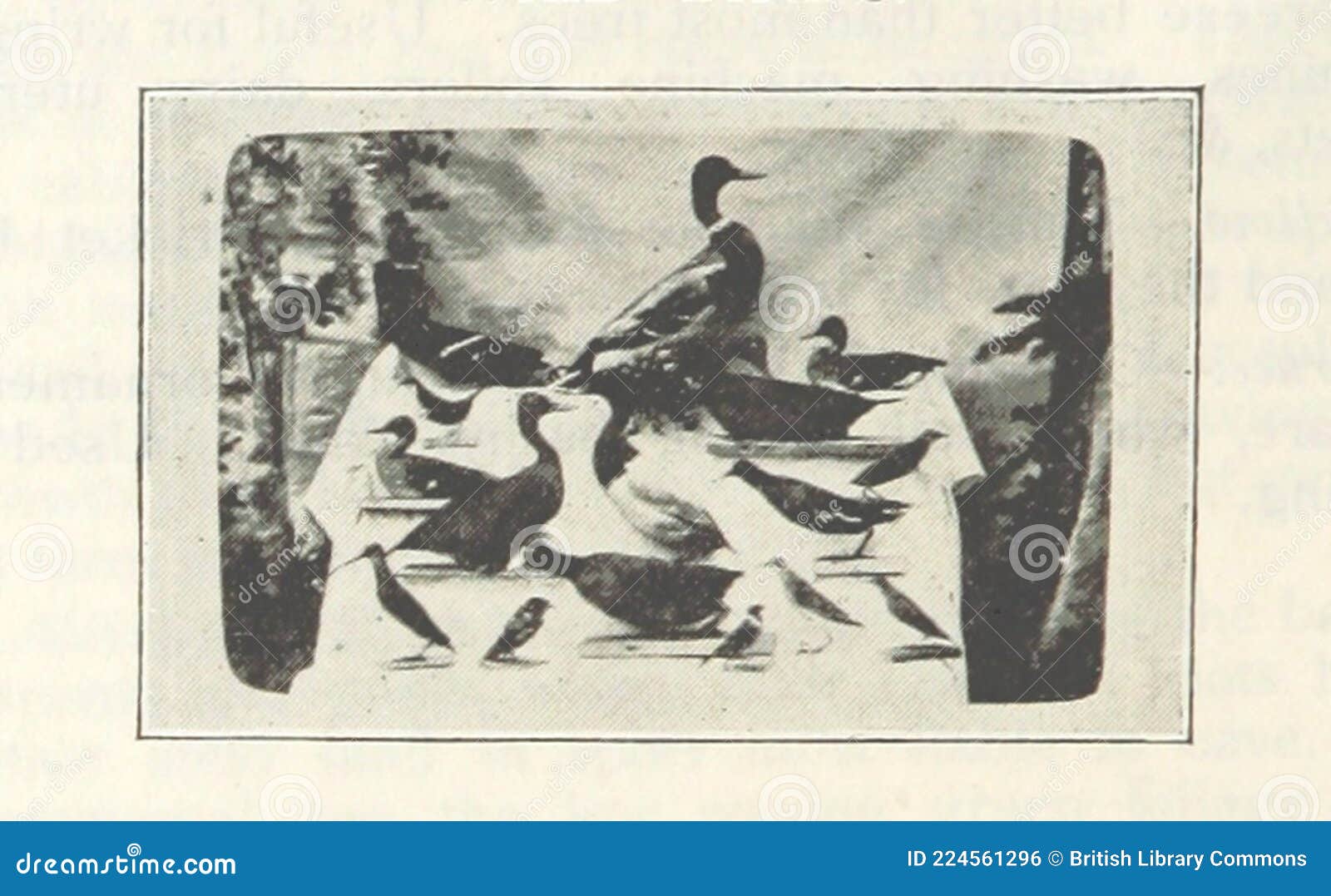 British Library Digitised Image From Page 172 Of To St