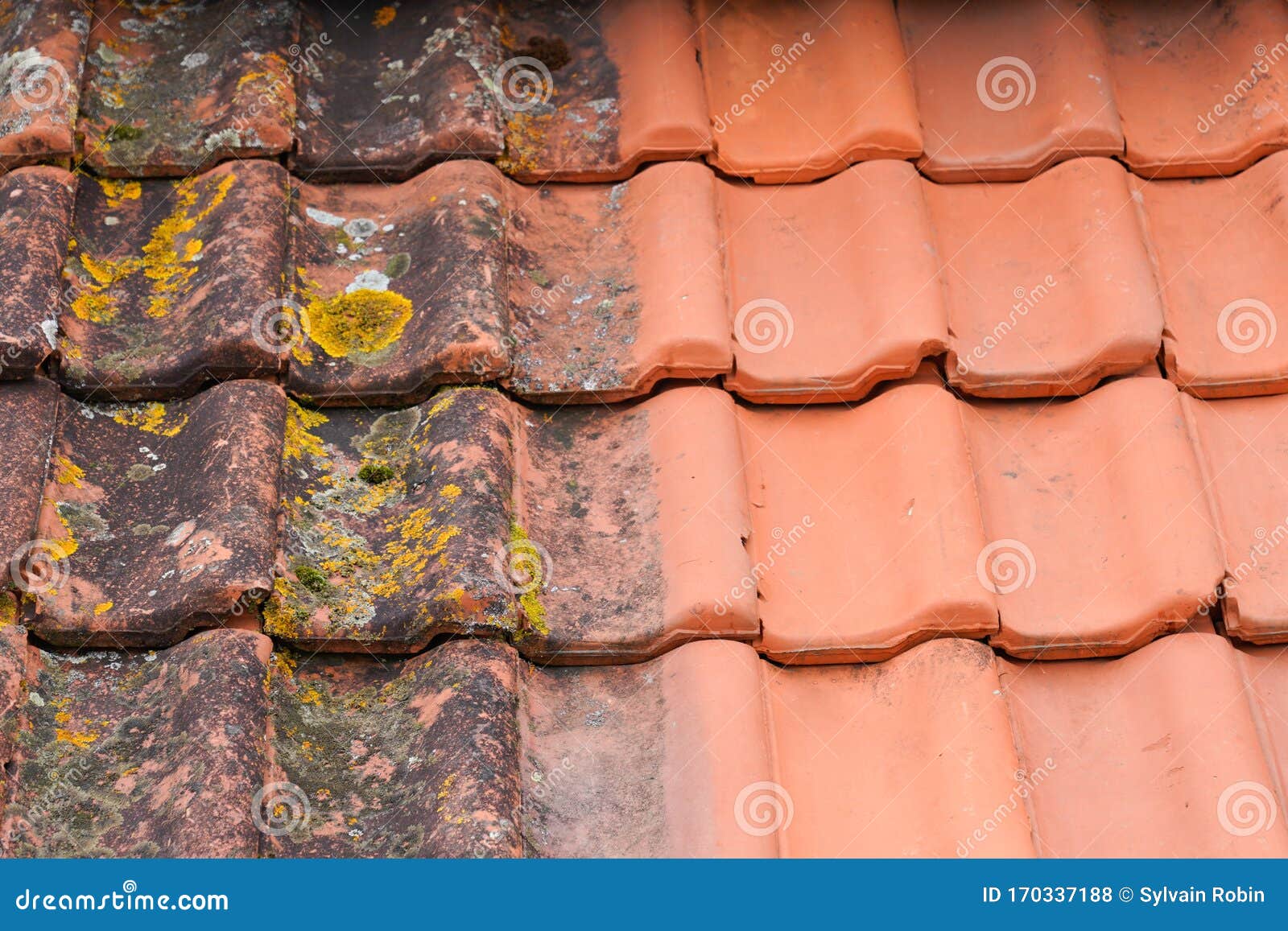 Roof Cleaning Near Me Noblesville IN