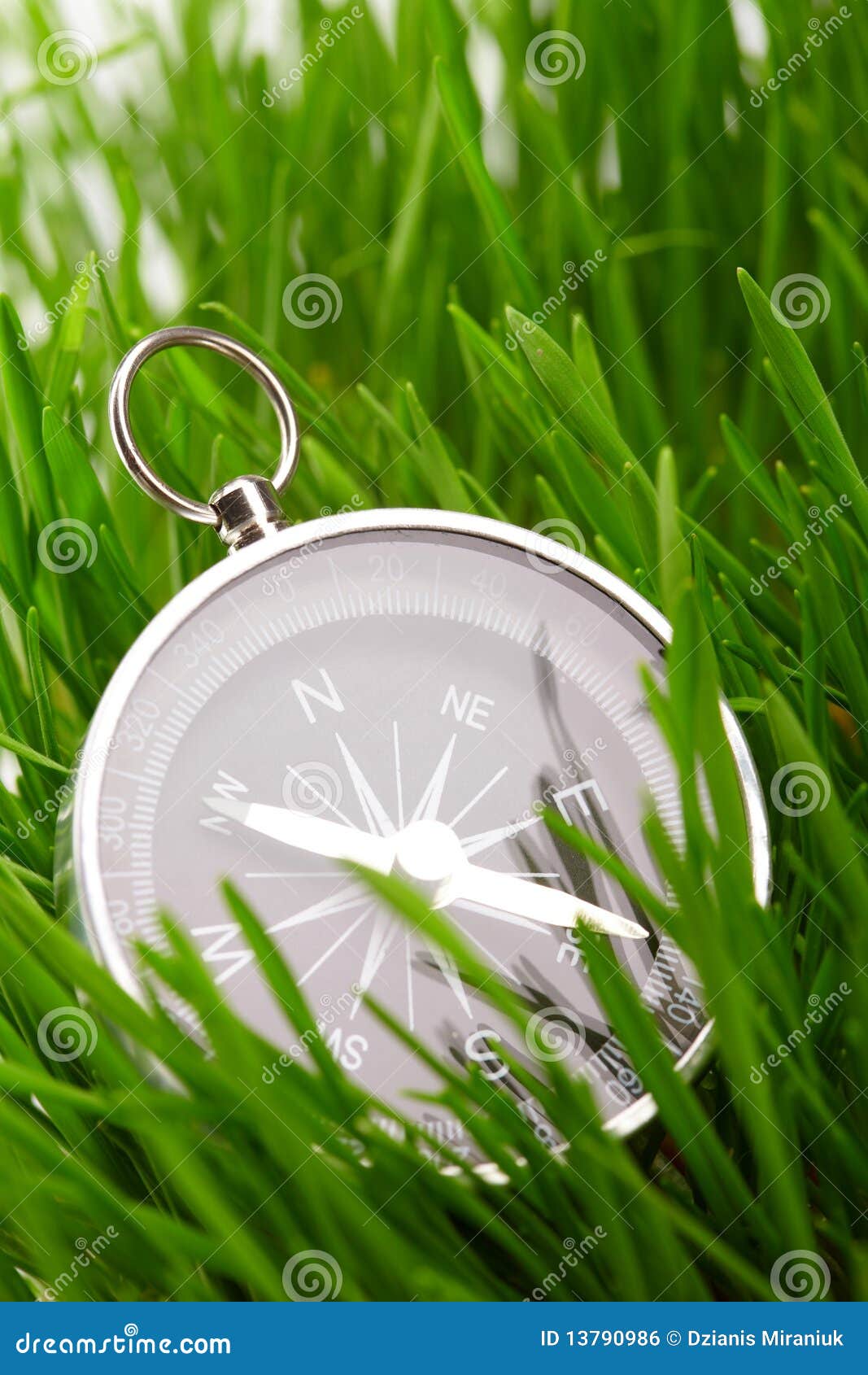 Compass in green grass stock photo. Image of colored 13790986