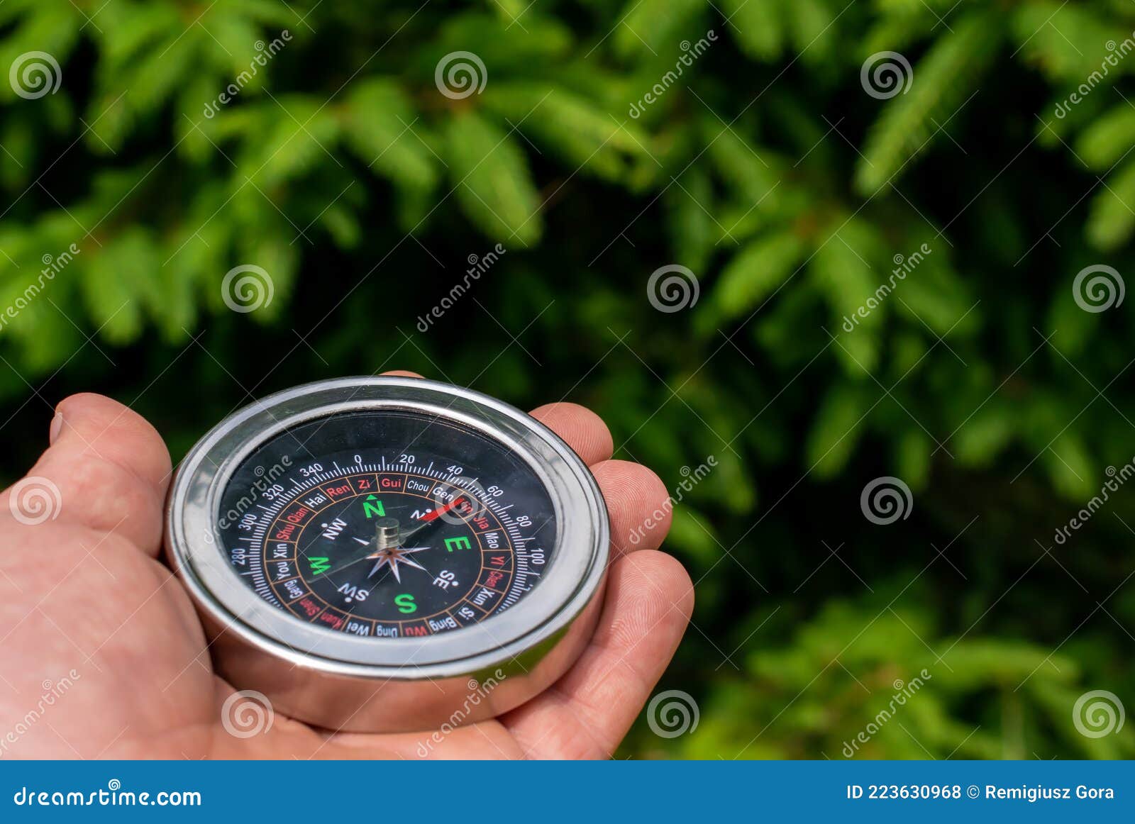 Compass in Hand on the Background of Trees Stock Photo Image of