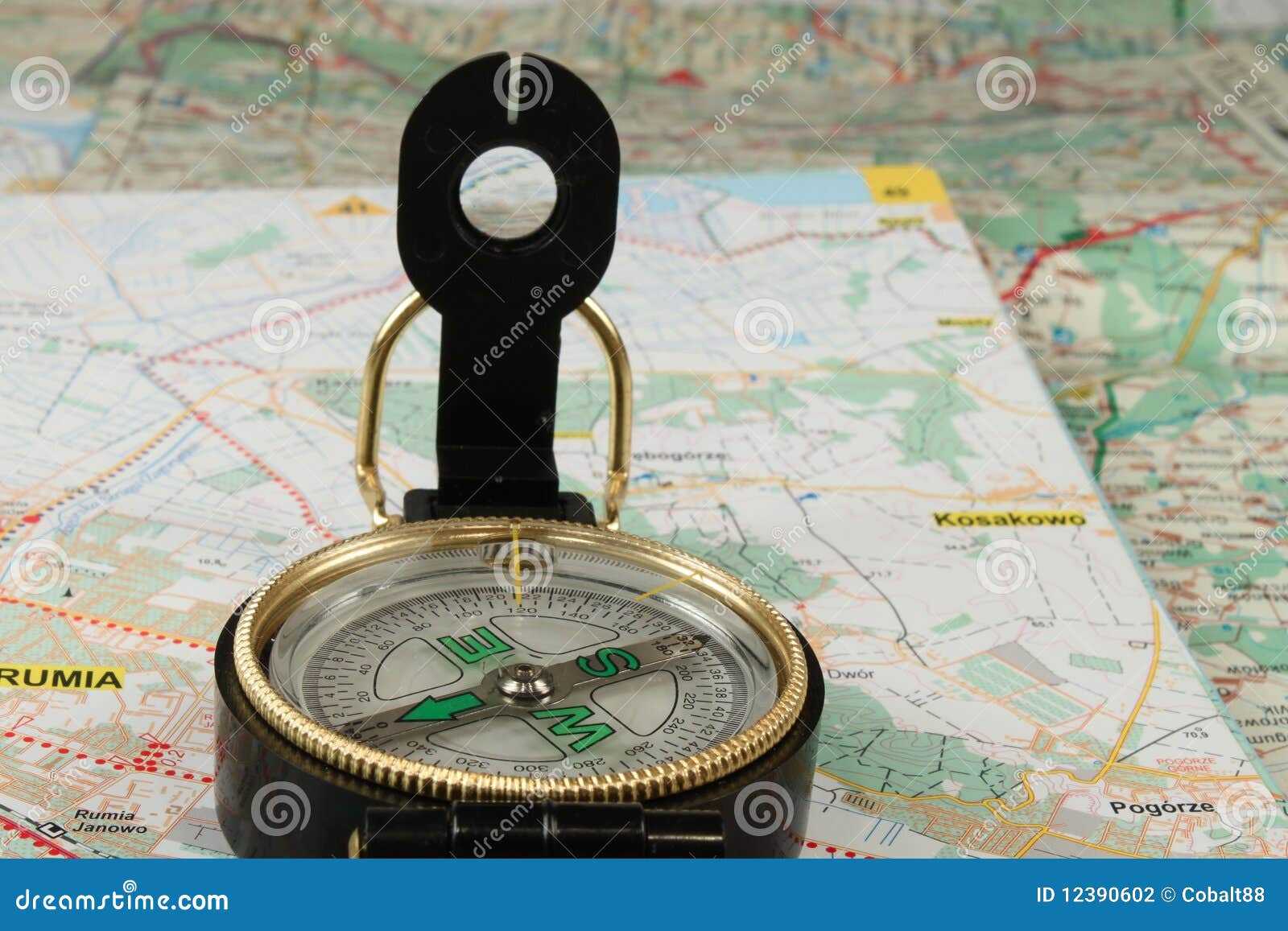 Compass Map 12390602 