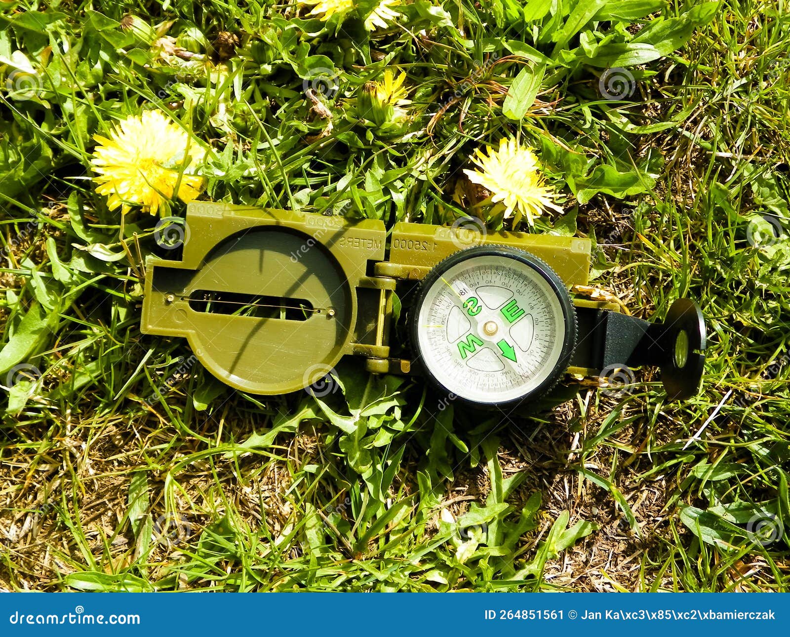 Compass on the Meadow Travel and Vacations Concept Stock Image