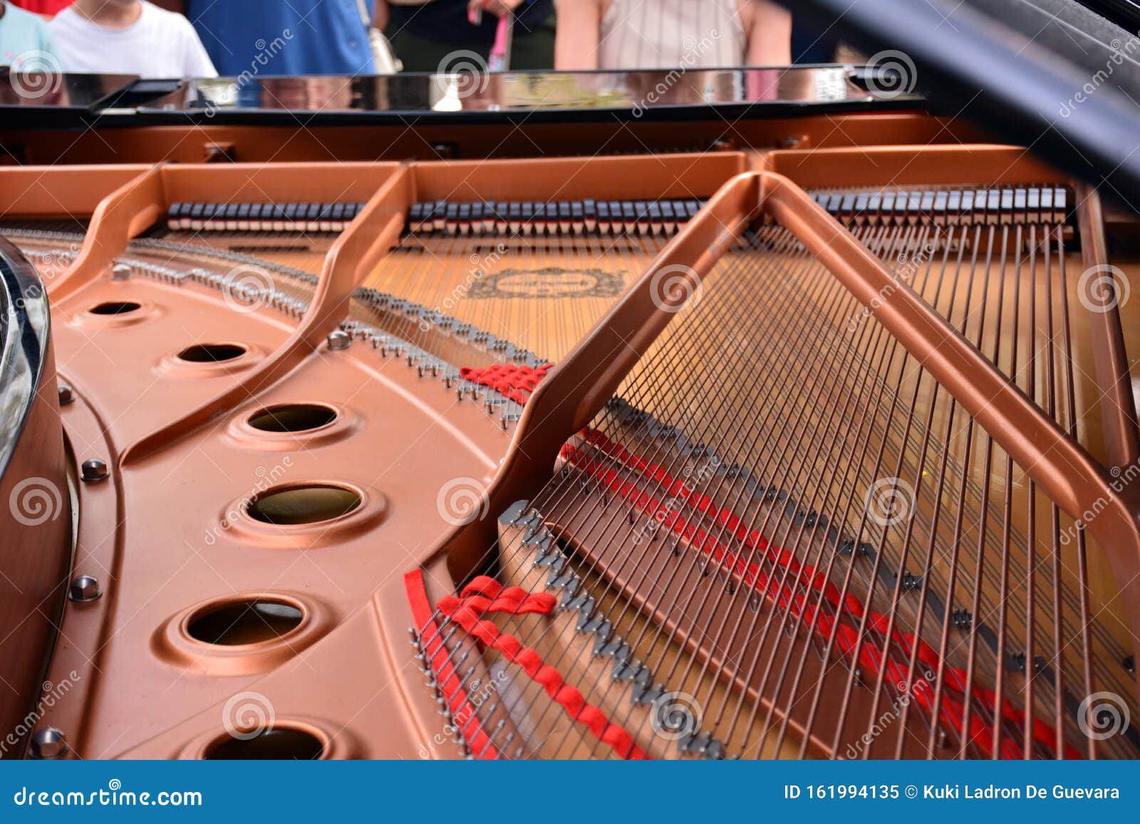 compenents inside a grand piano