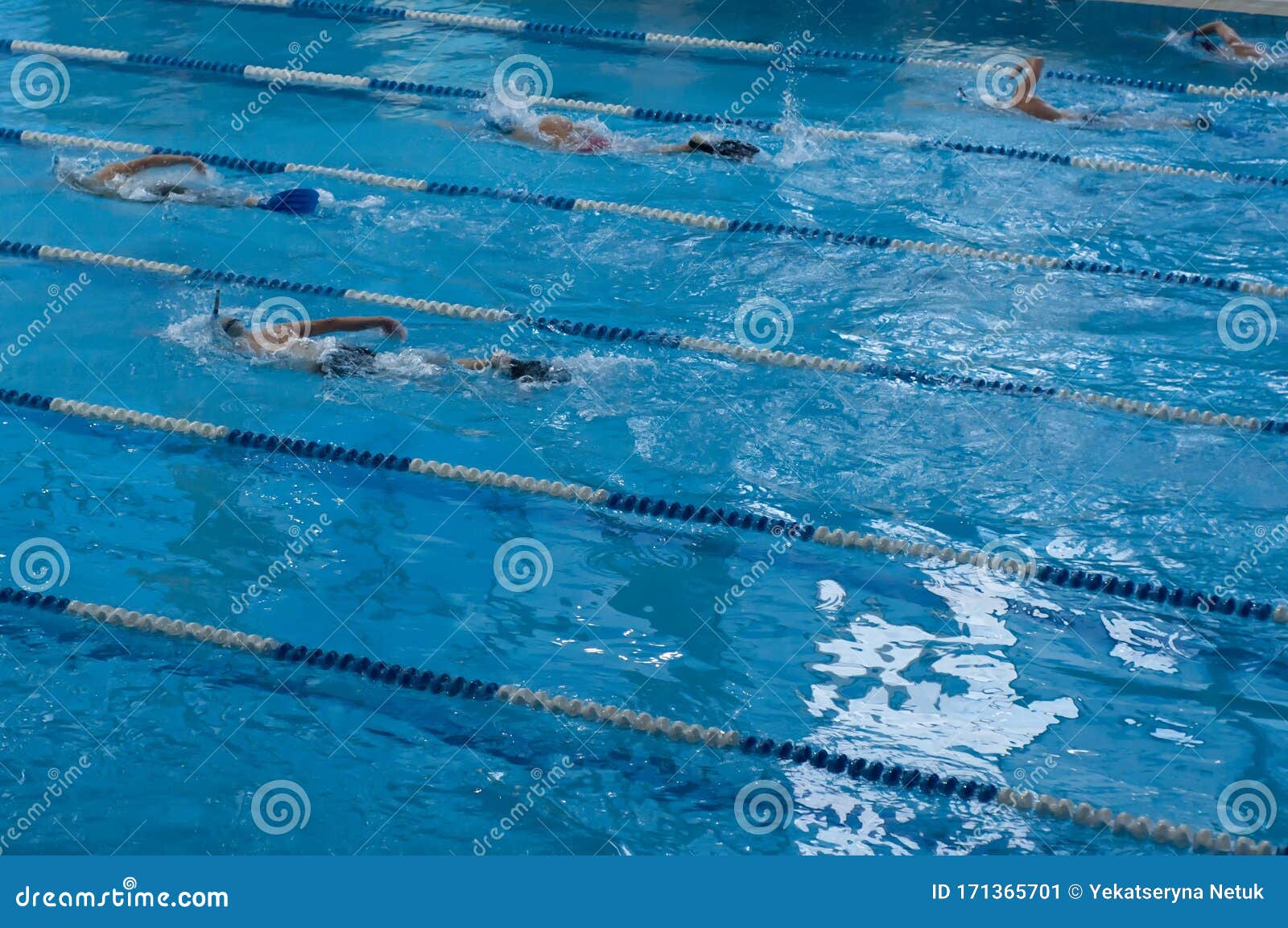 Competition Swimming Pool Crowded of Swimmers Training. Stock Image