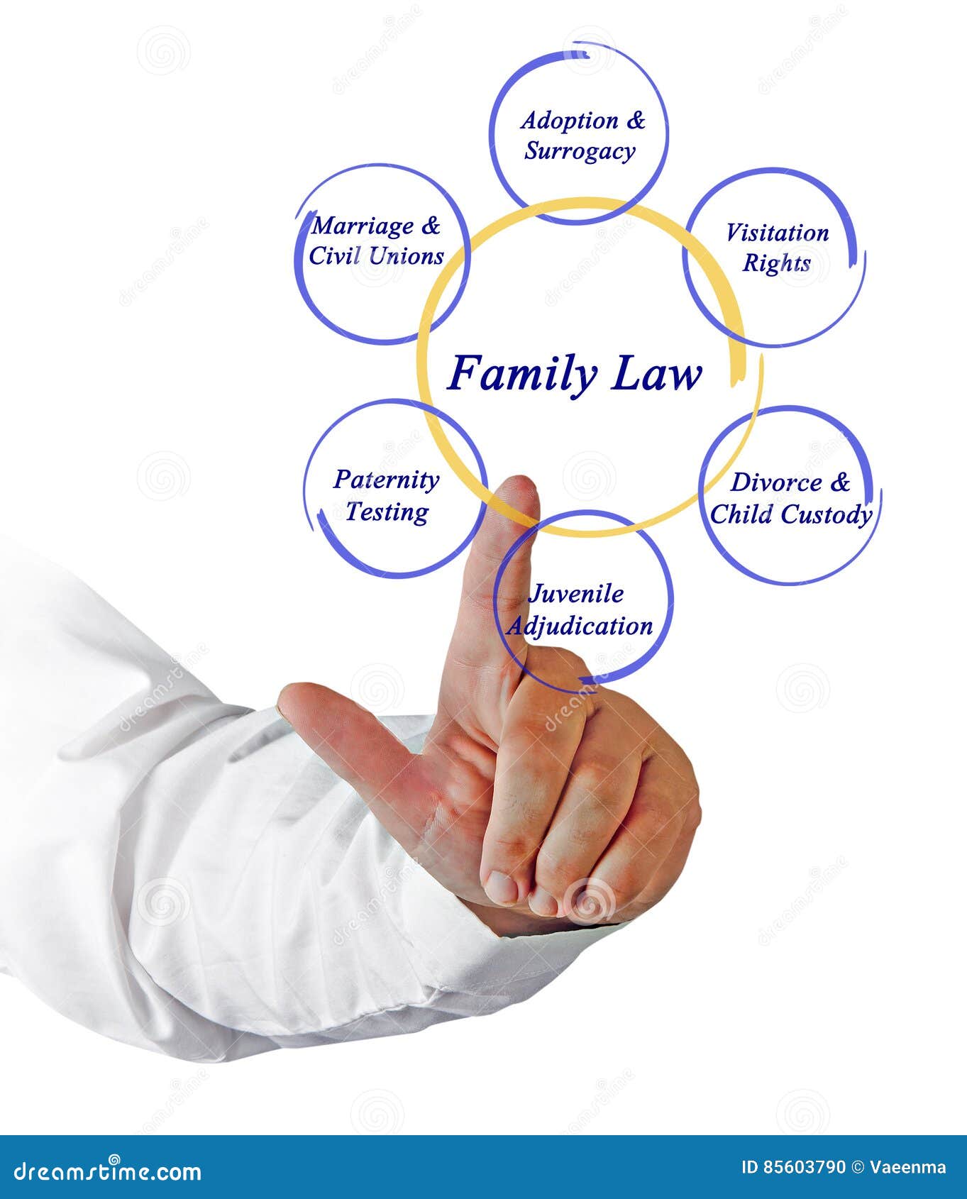 Components of family law stock photo. Image of partner 85603790
