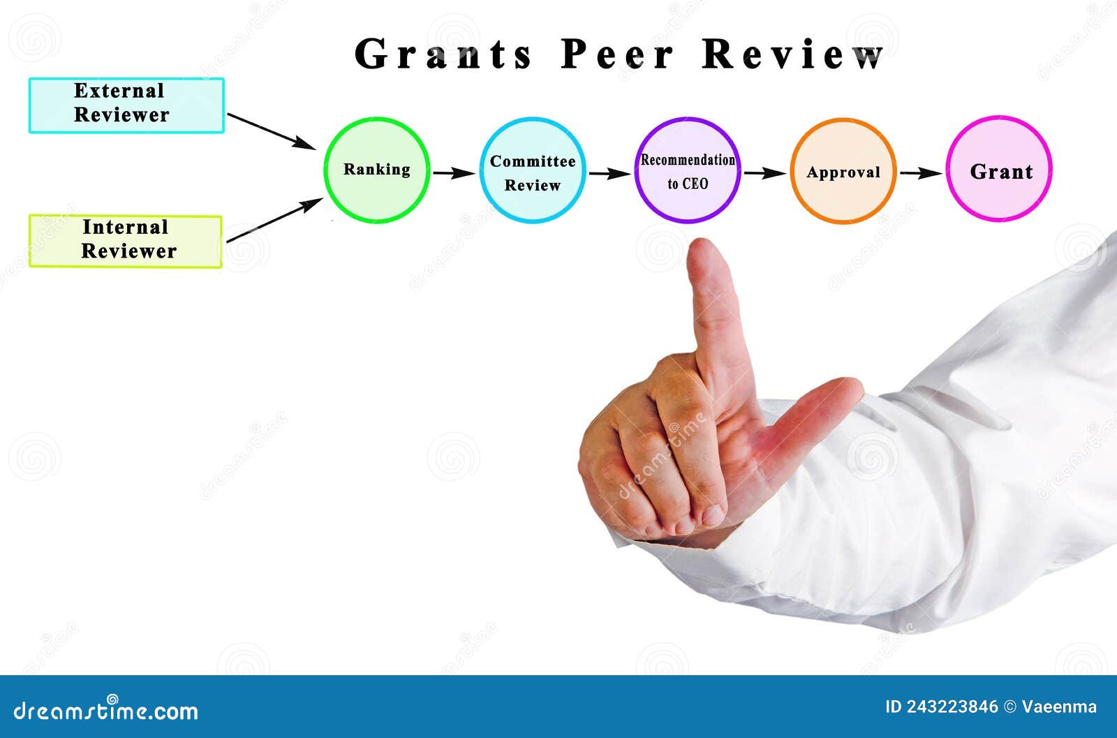 peer reviewed research grants