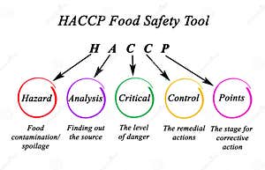 HACCP Food Standard Royalty Free Stock Photography CartoonDealer 